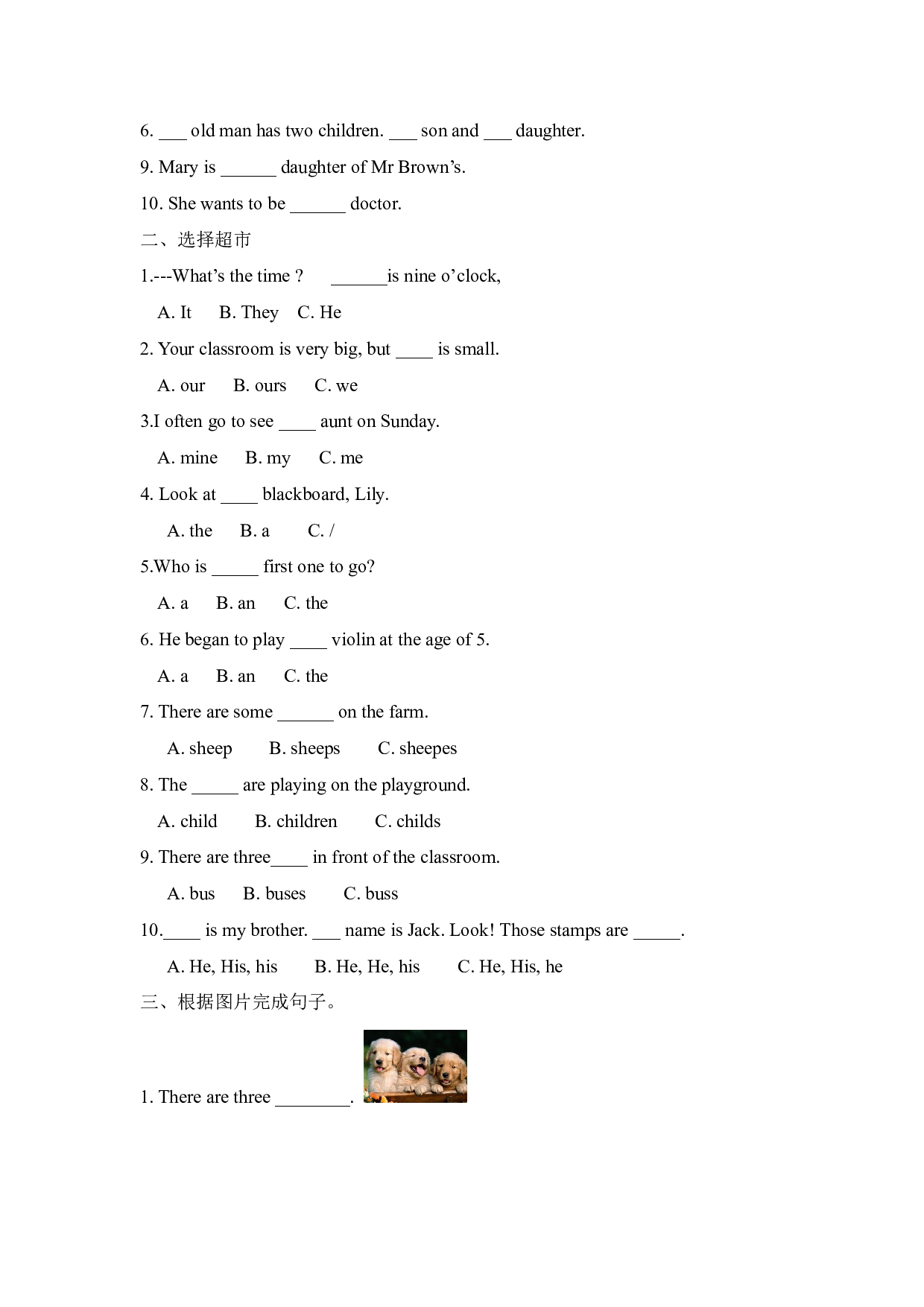 【精品】小升初英语热点题型一01词法（名词、冠词、代词）.pdf 第6页