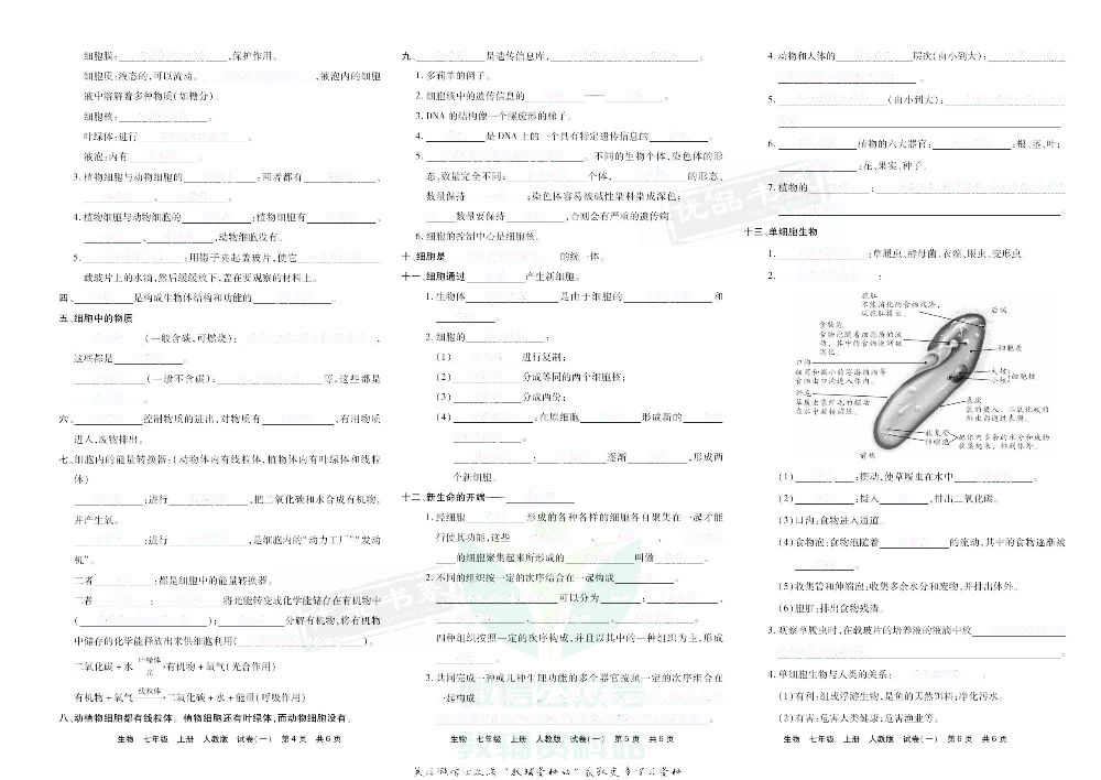 优品单元与期末七年级上册生物人教版去答案版.pdf 第3页