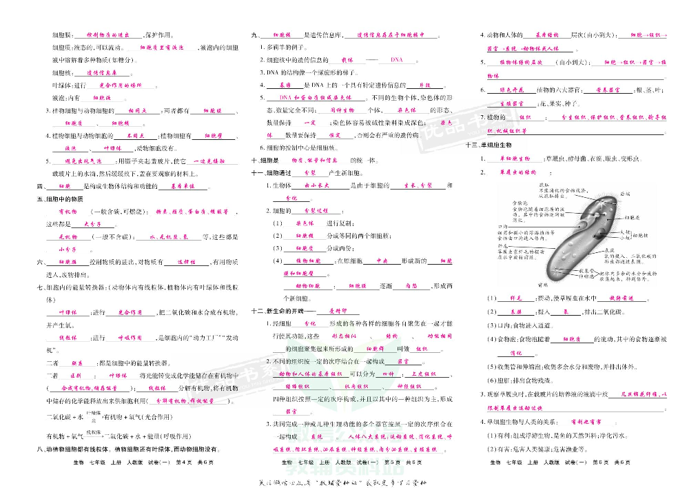 优品单元与期末七年级上册生物人教版教师用书.pdf 第3页