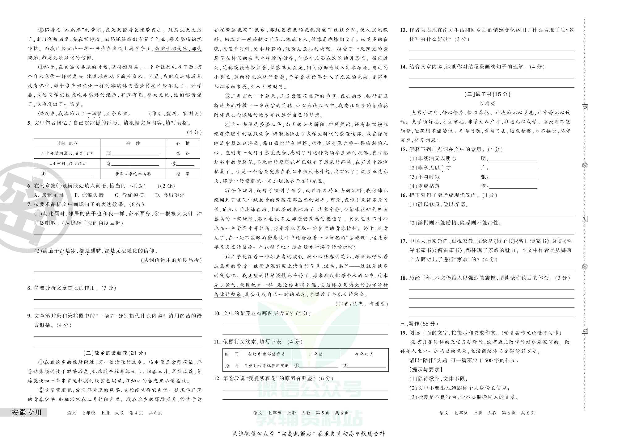 王朝霞期末复习压台卷七年级上册语文人教版安徽专用.pdf 第2页