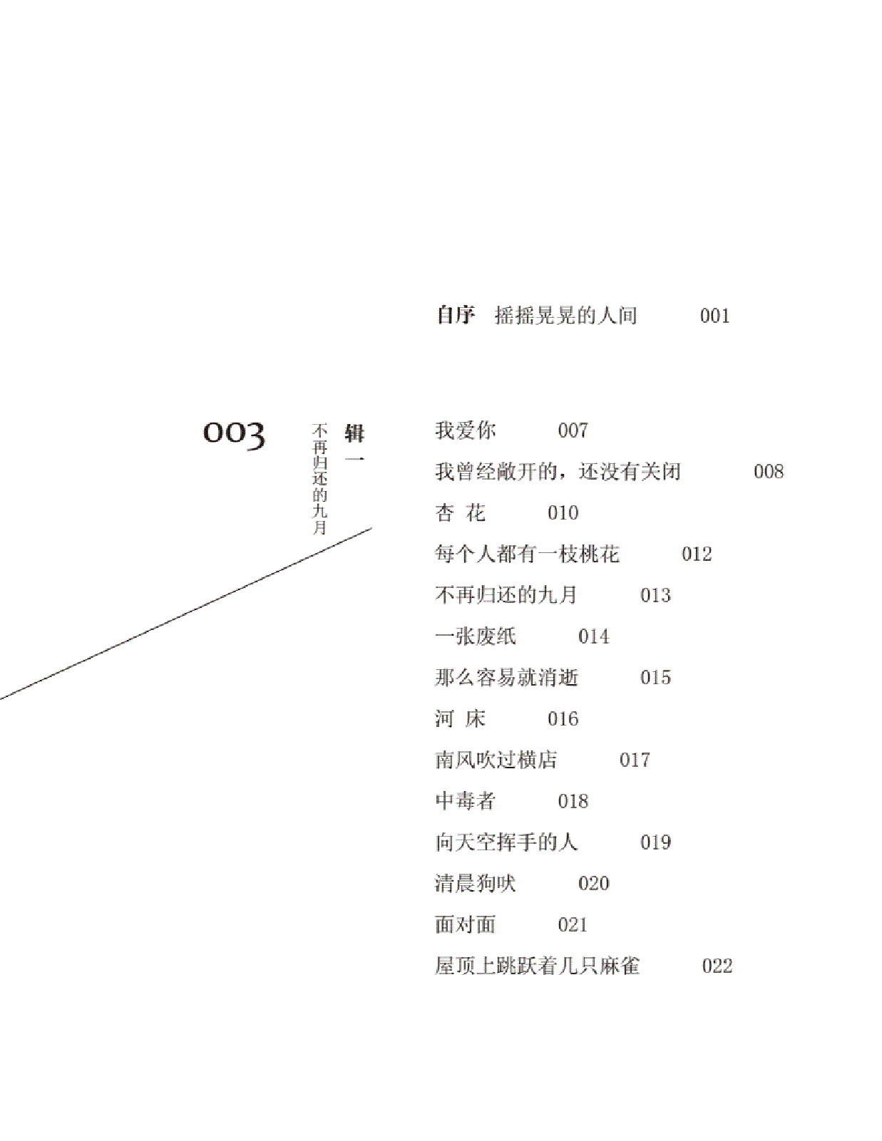 摇摇晃晃的人间.pdf 第4页