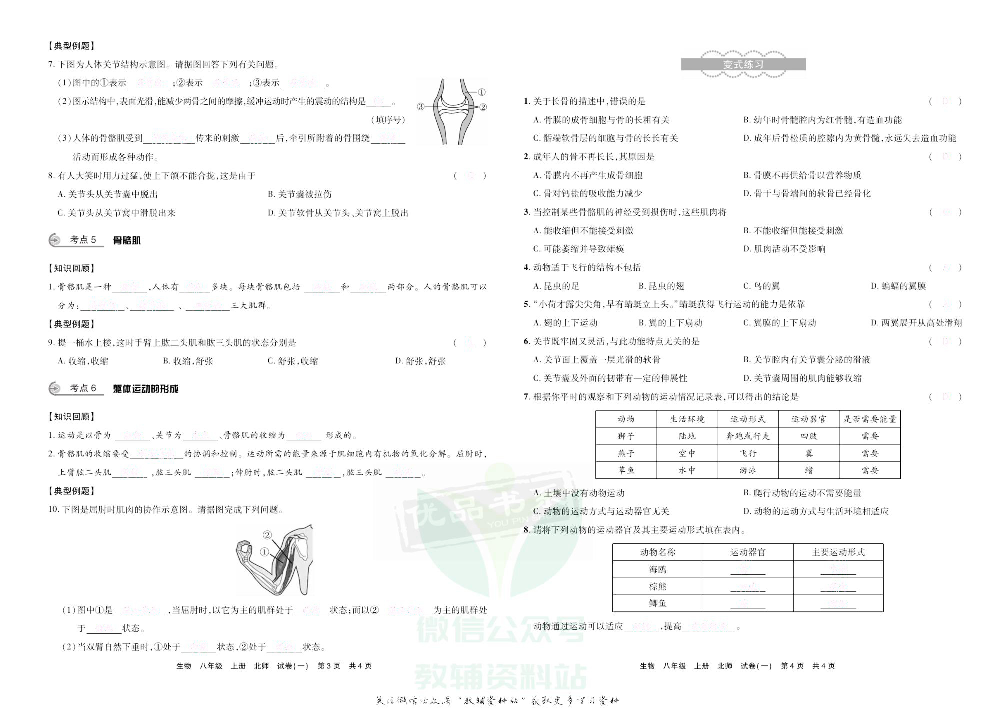 优品单元与期末八年级上册生物北师版去答案版.pdf 第4页
