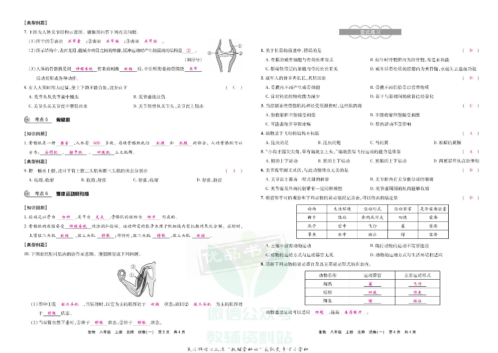 优品单元与期末八年级上册生物北师版教师用书.pdf 第4页