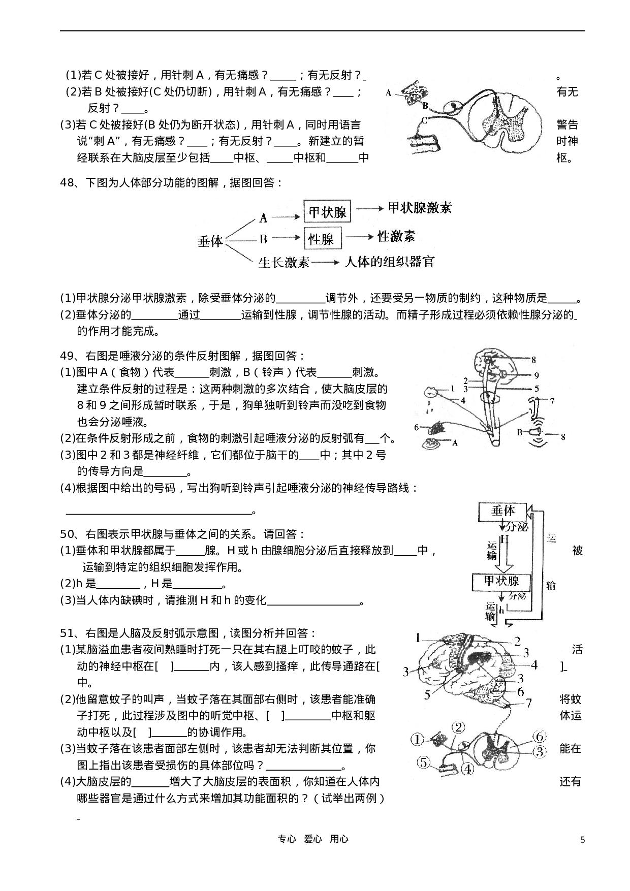 初中生物奥赛培训测试题(八).doc 第5页