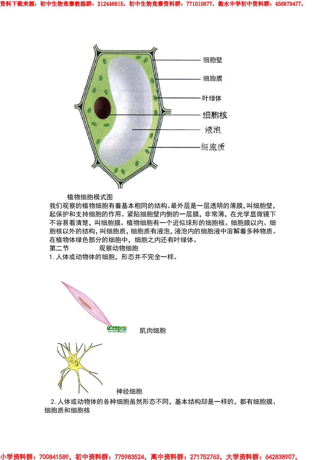 七年级生物竞赛.pdf 第4页