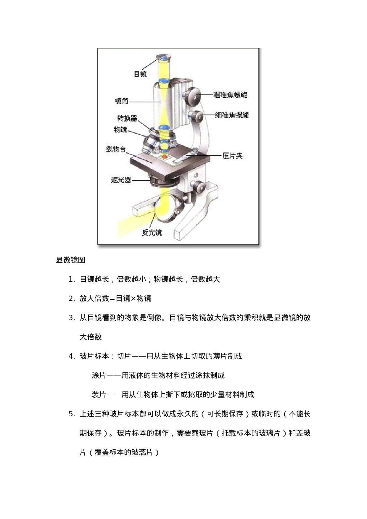 七年级生物竞赛.doc 第6页