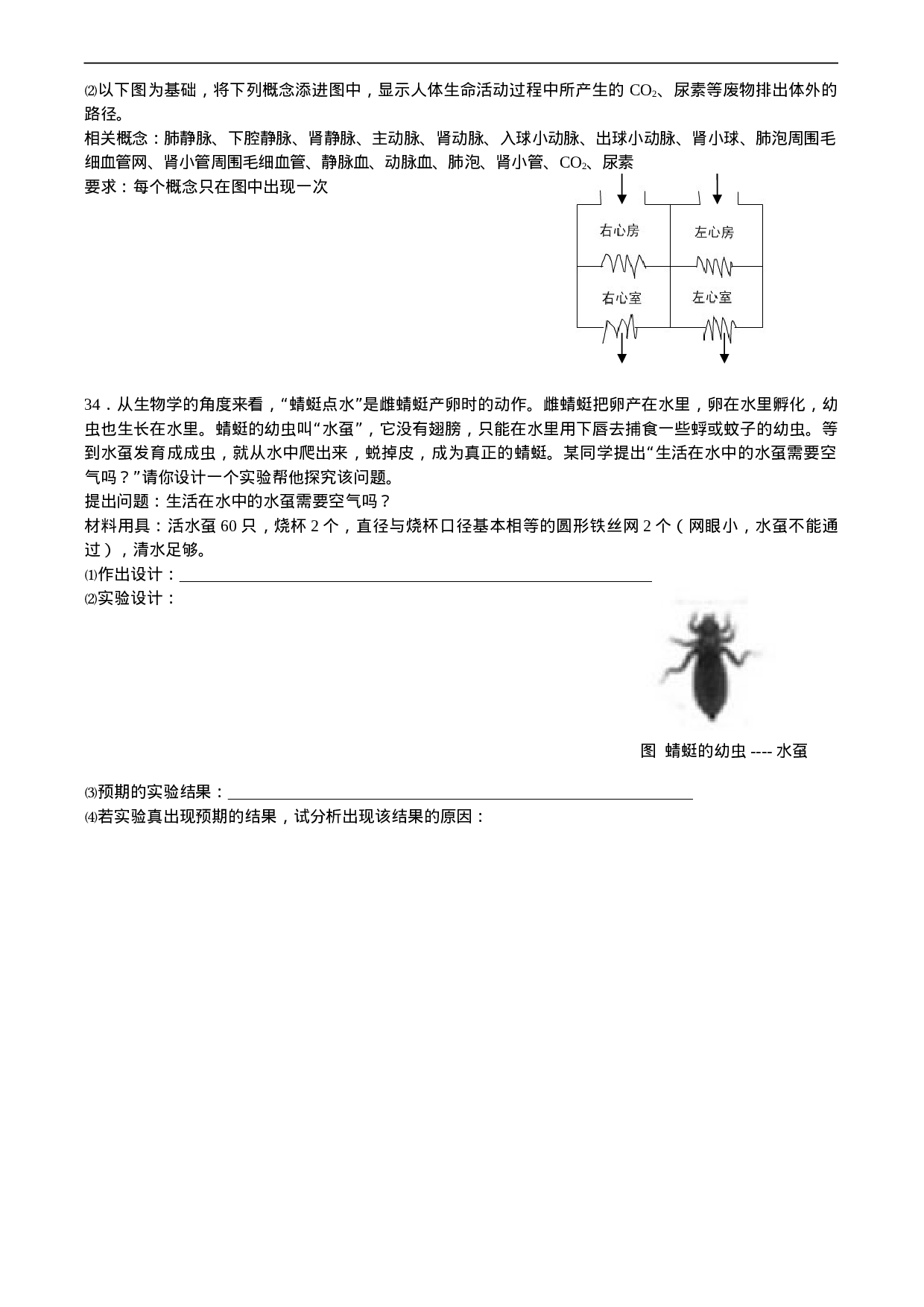 年中南六省初中生物竞赛复赛试题.doc 第5页