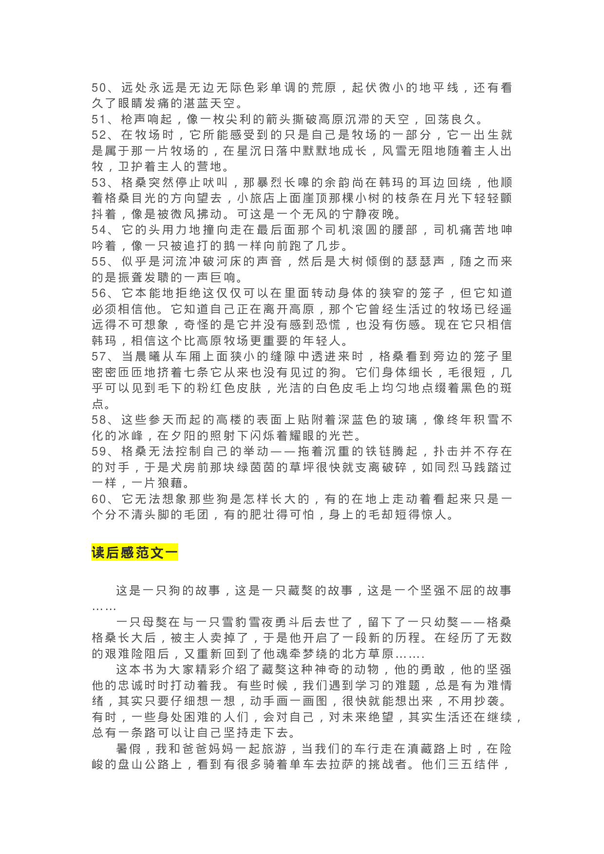 33《黑焰》精彩片段+读后感.docx 第4页