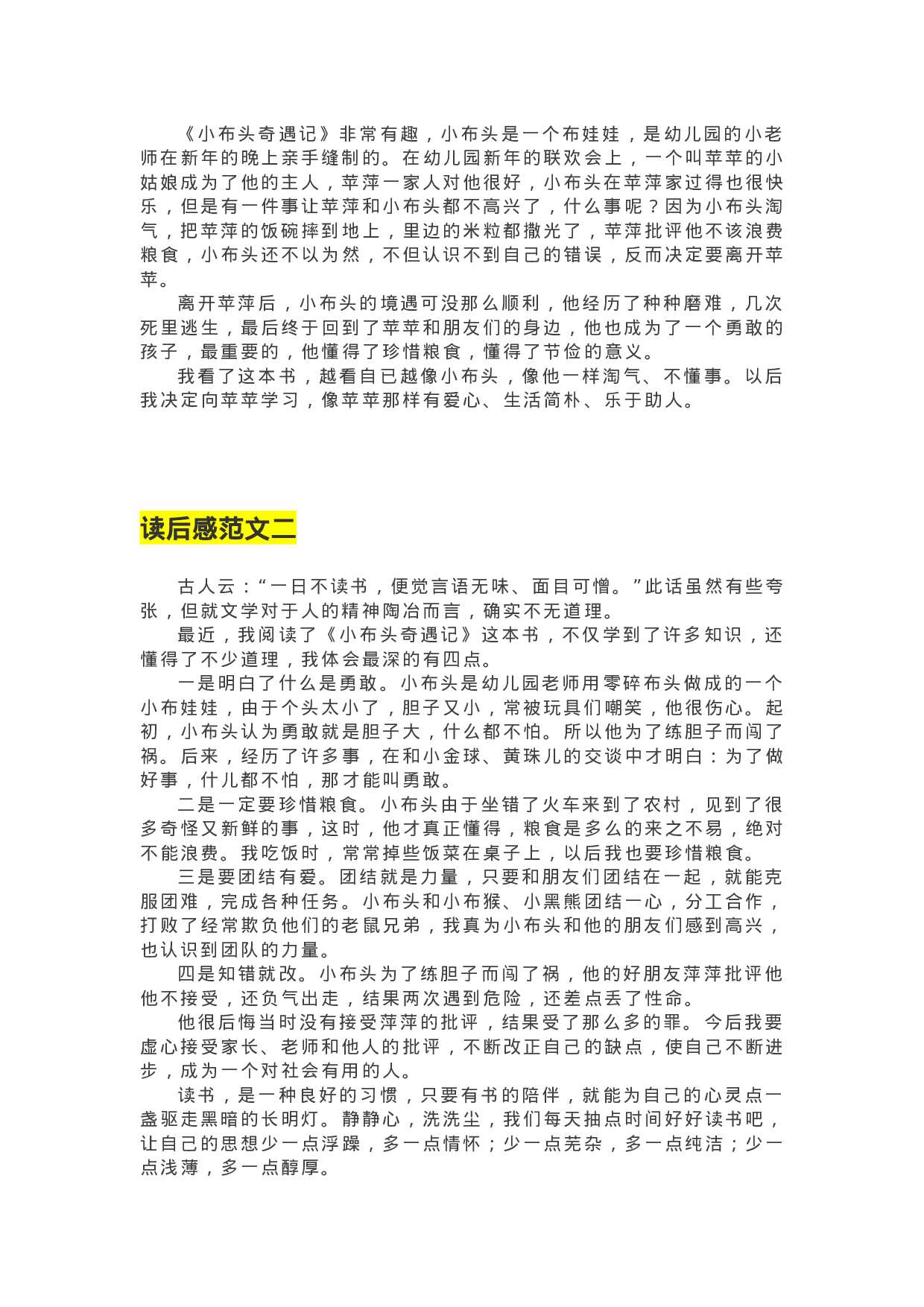 31《小布头奇遇记》精彩片段+读后感.docx 第4页