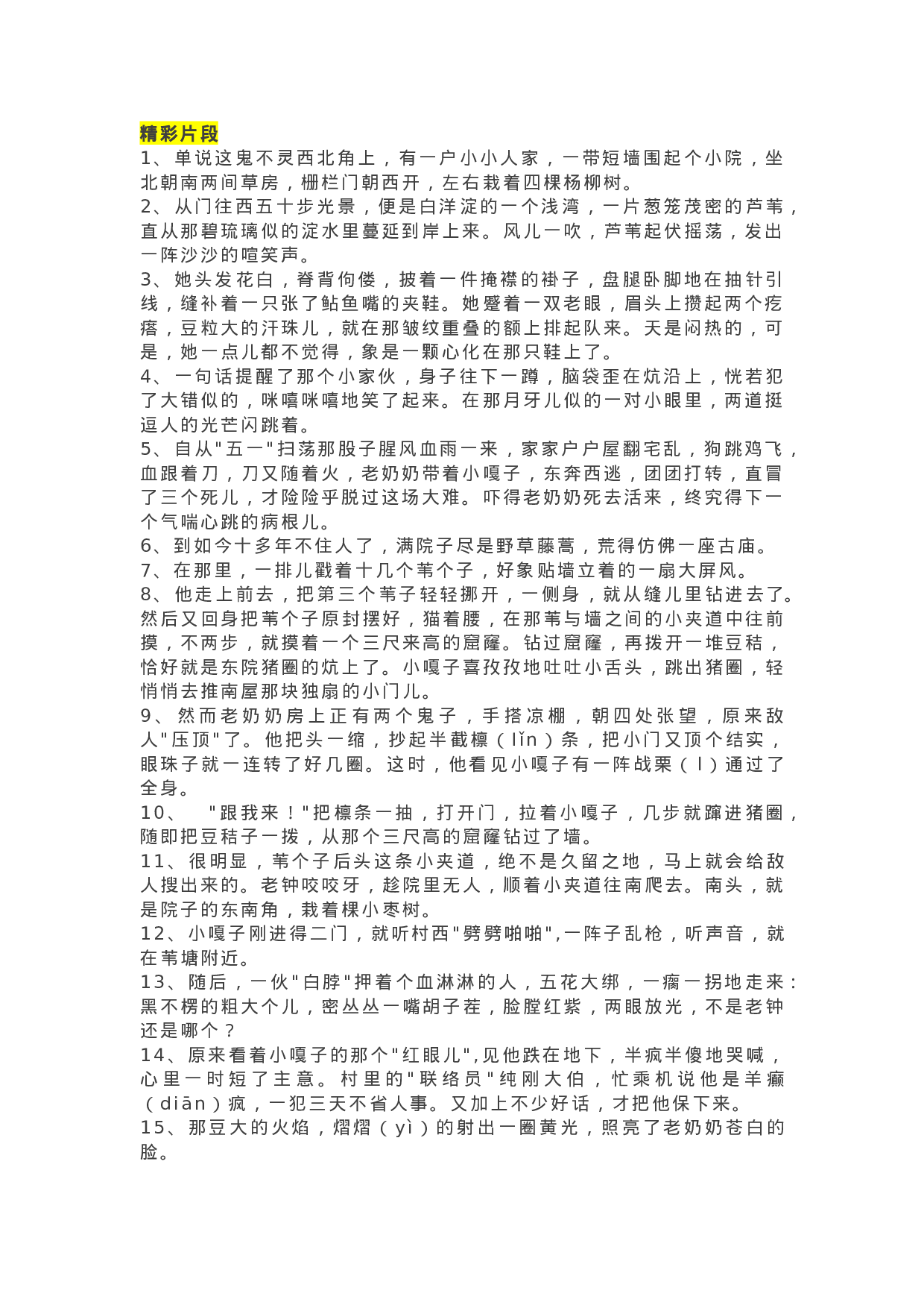 18《小兵张嘎》精彩片段+读后感.docx 第1页