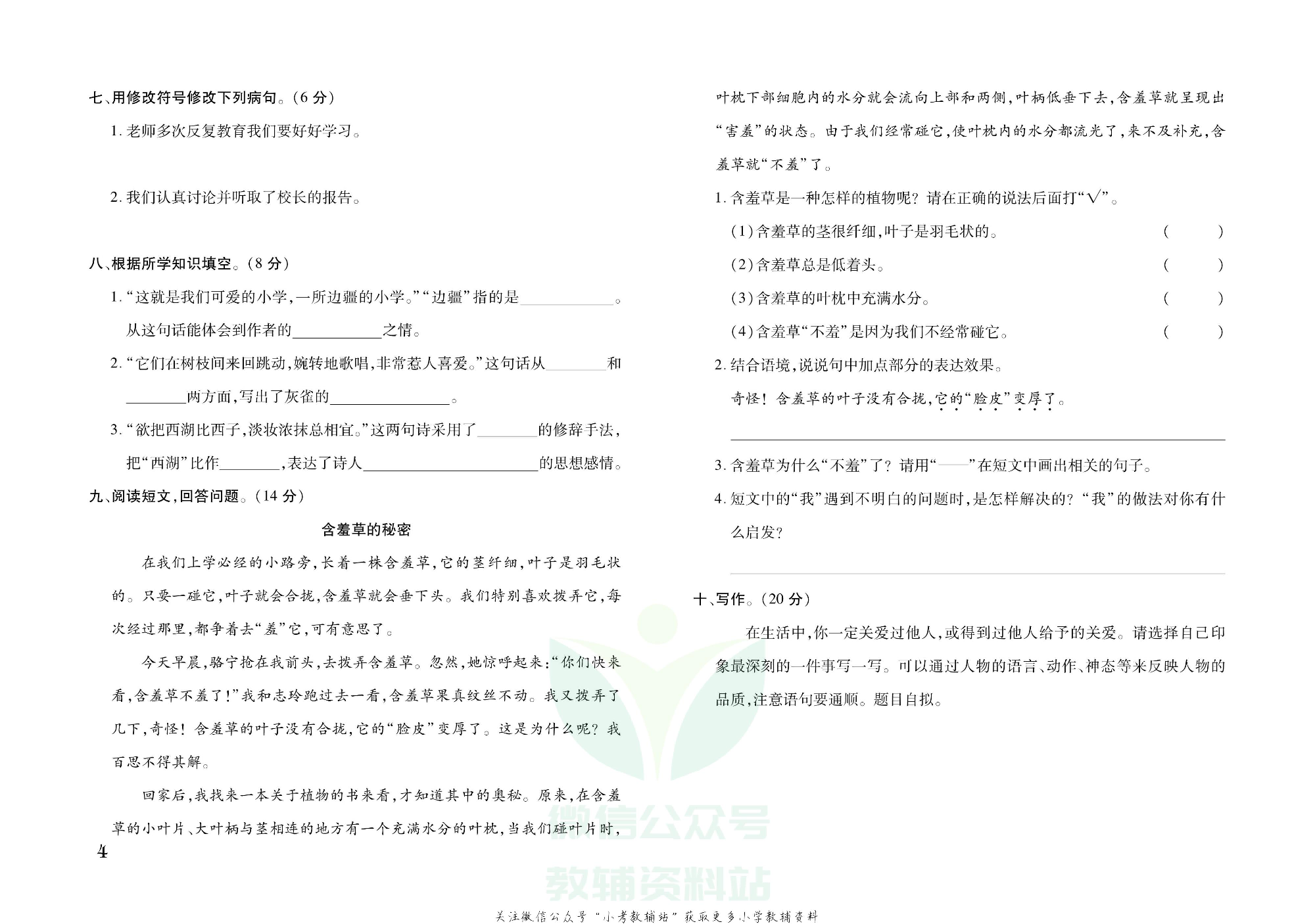 探究学案 · 期末模拟卷三年级上册语文部编版.pdf 第5页