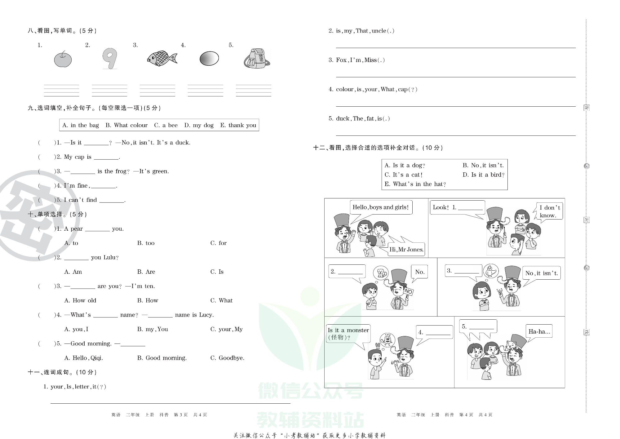 王朝霞期末复习压台卷三年级上册英语科普版.pdf 第2页