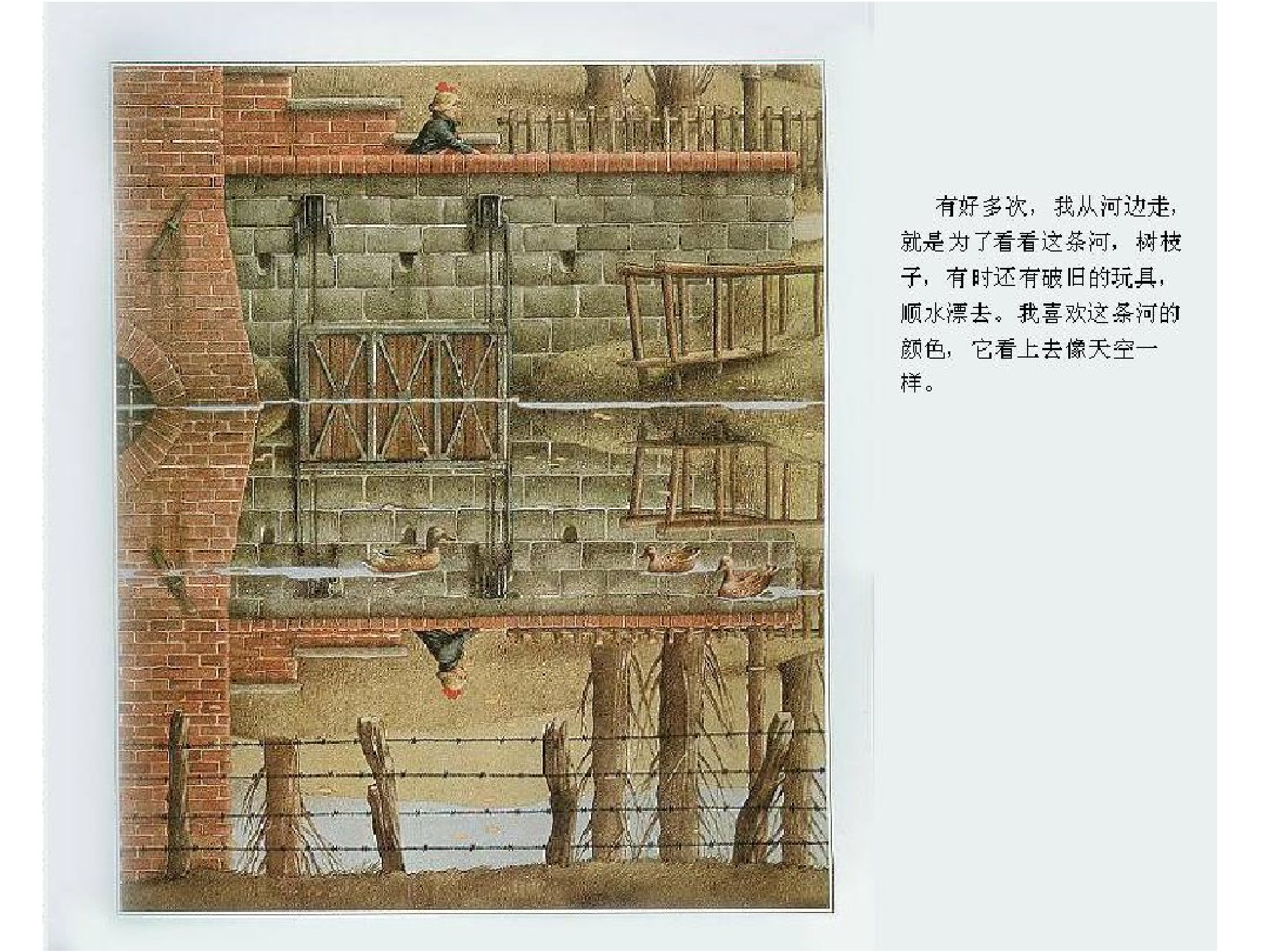 铁丝网上的小花.pdf 第5页