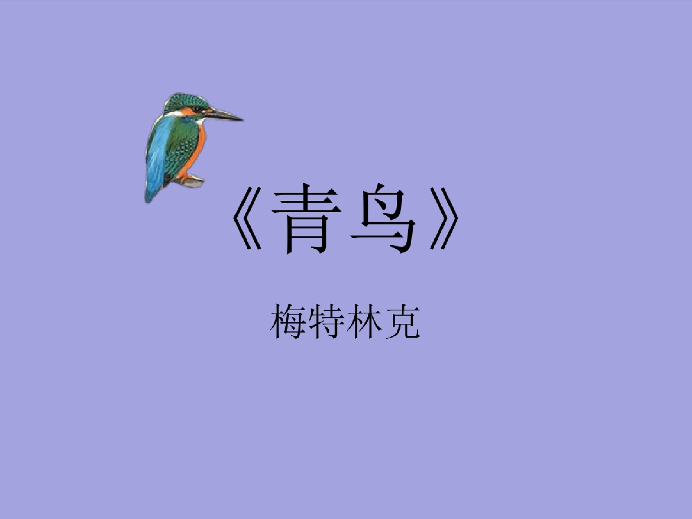 青鸟.pdf 第4页
