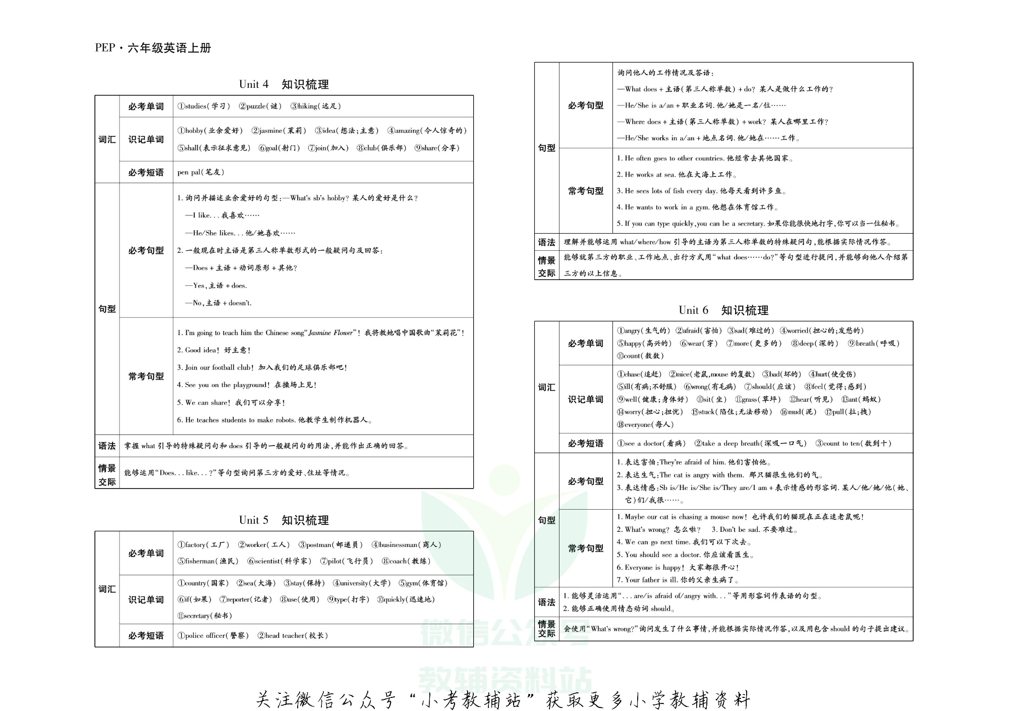 聚优引领期末六年级上册英语人教PEP版.pdf 第3页