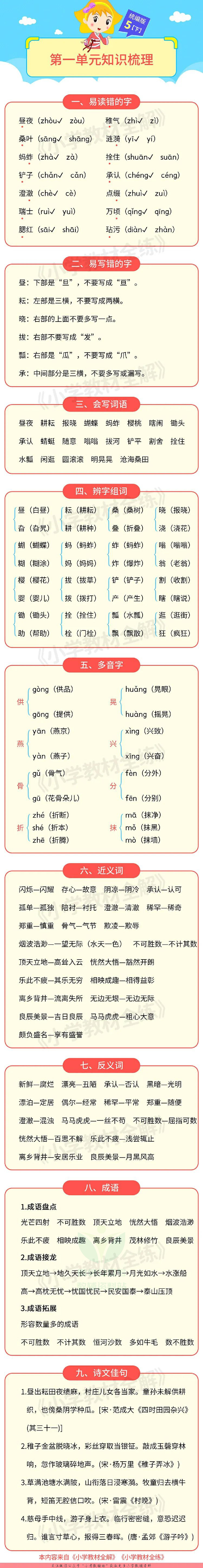 单元知识梳理五年级下册语文部编版.pdf 第1页