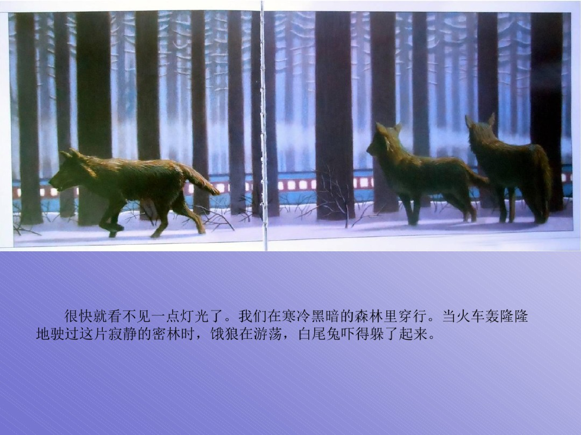 极地特快.pdf 第5页