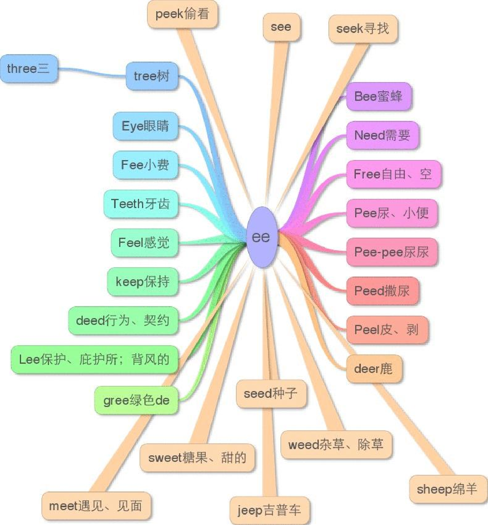 小学英语单词思维导图.pdf 第3页