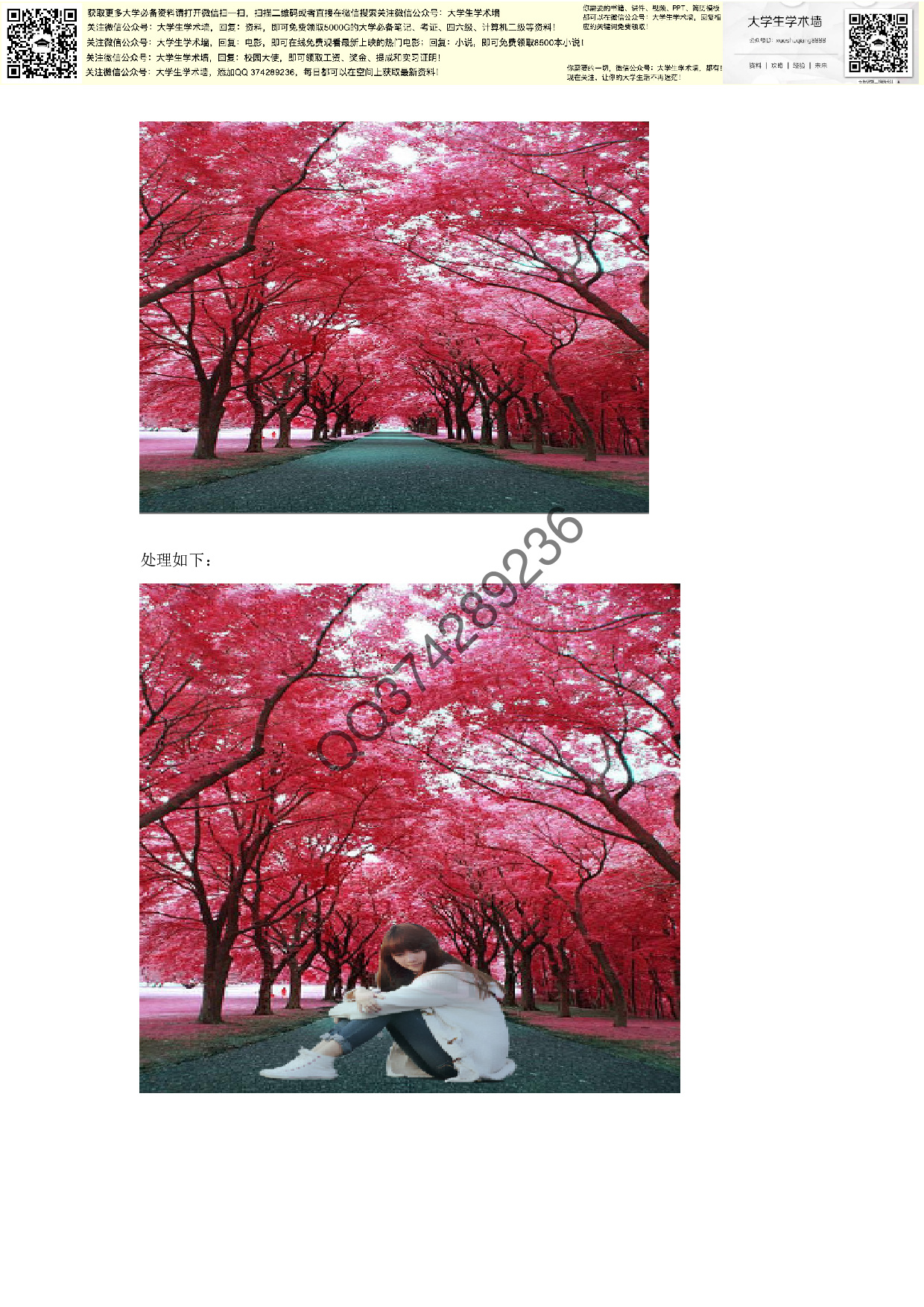 Photoshop的功能特点及应用.pdf 第3页