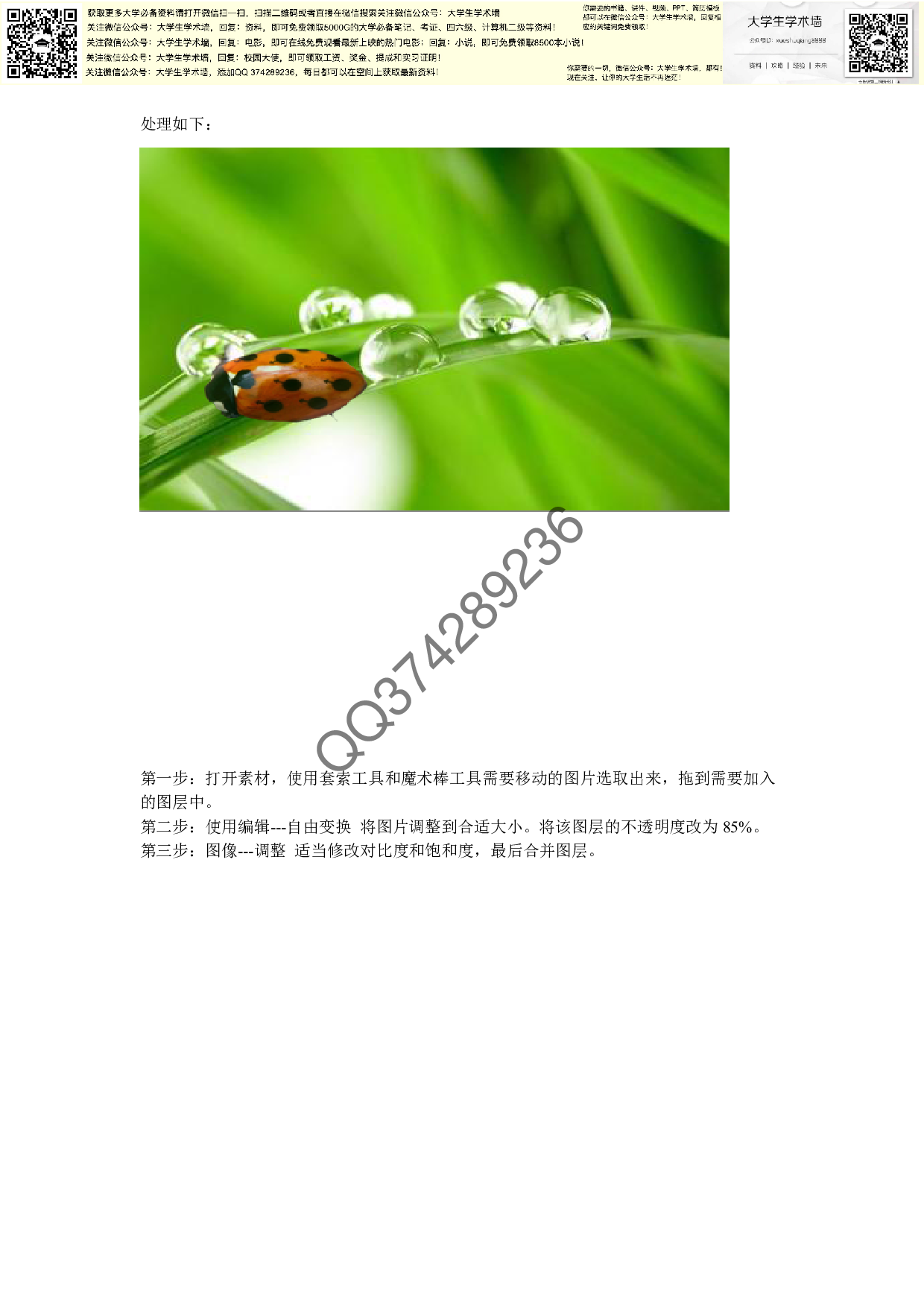 Photoshop的功能特点及应用.pdf 第5页