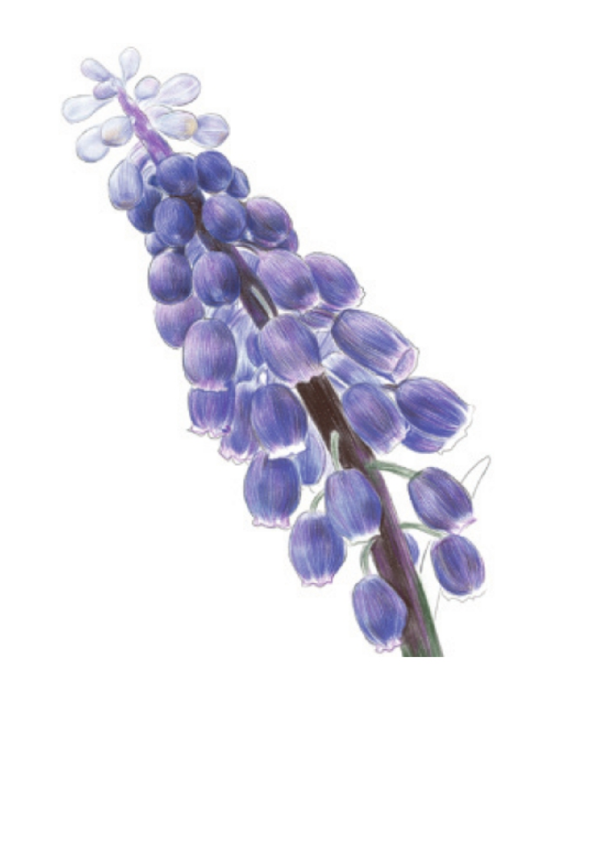 PhotoshopCC手绘完全自学手册.html.pdf 第5页