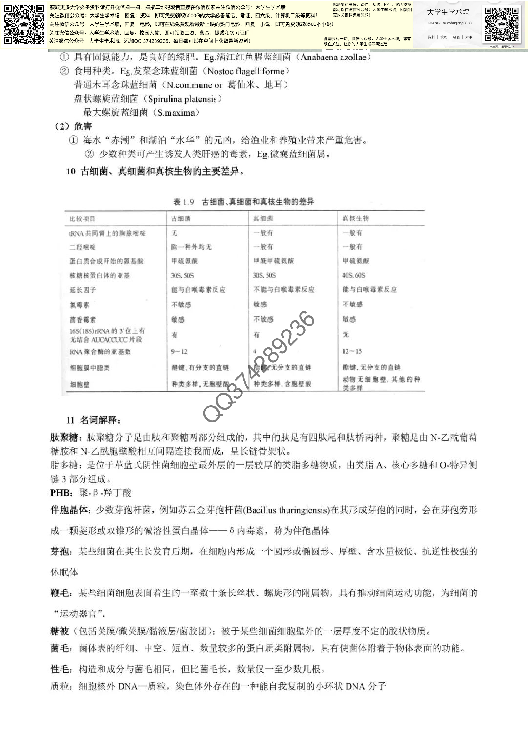 微生物学.pdf 第5页