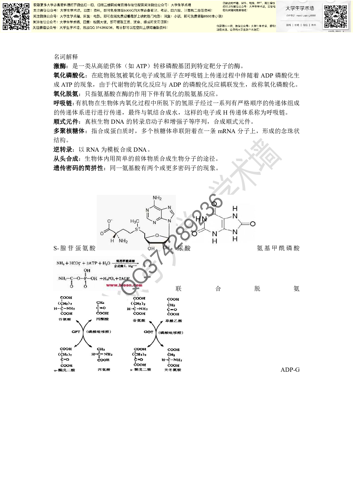 生物化学复习资料.pdf 第2页