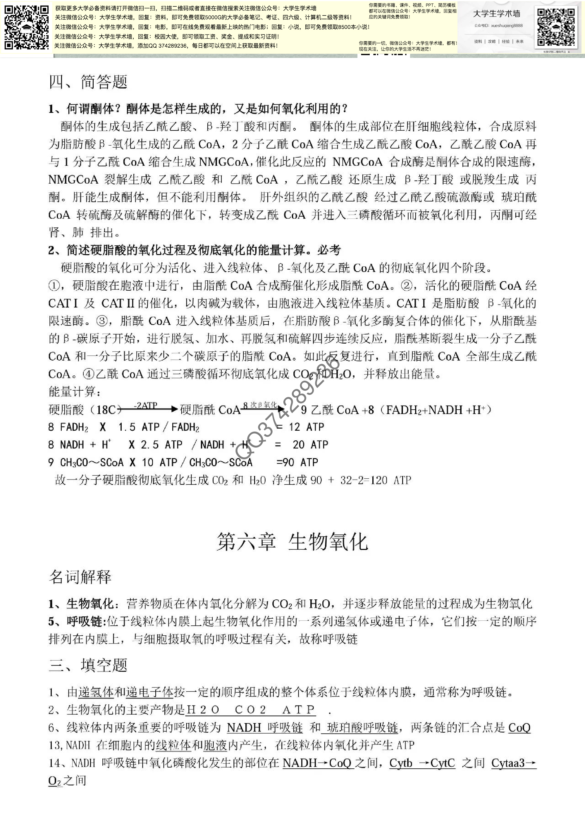 [生物化学].pdf 第5页