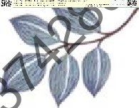 中国（古）现代经济史.pdf 第5页