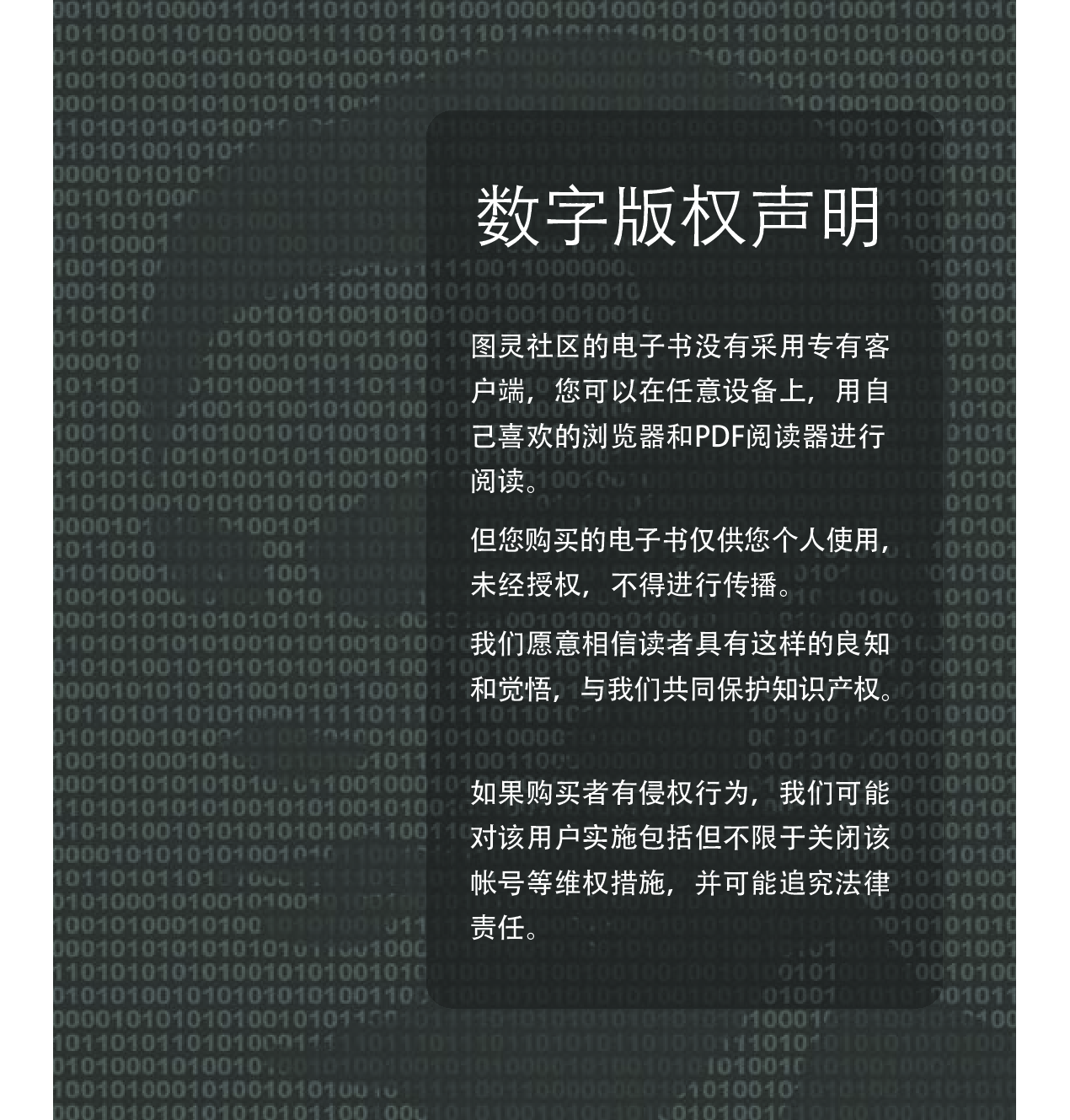 [图灵程序设计丛书].JavaScript基础教程.第9版.pdf 第2页