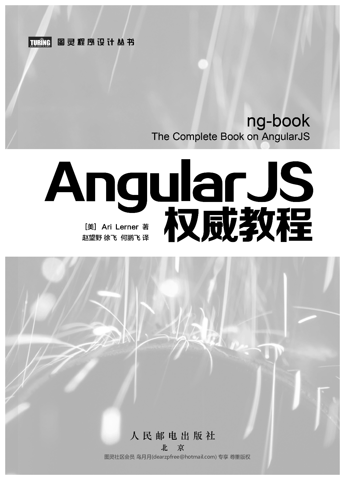 [图灵程序设计丛书].AngularJS权威教程.ng-book.pdf 第4页