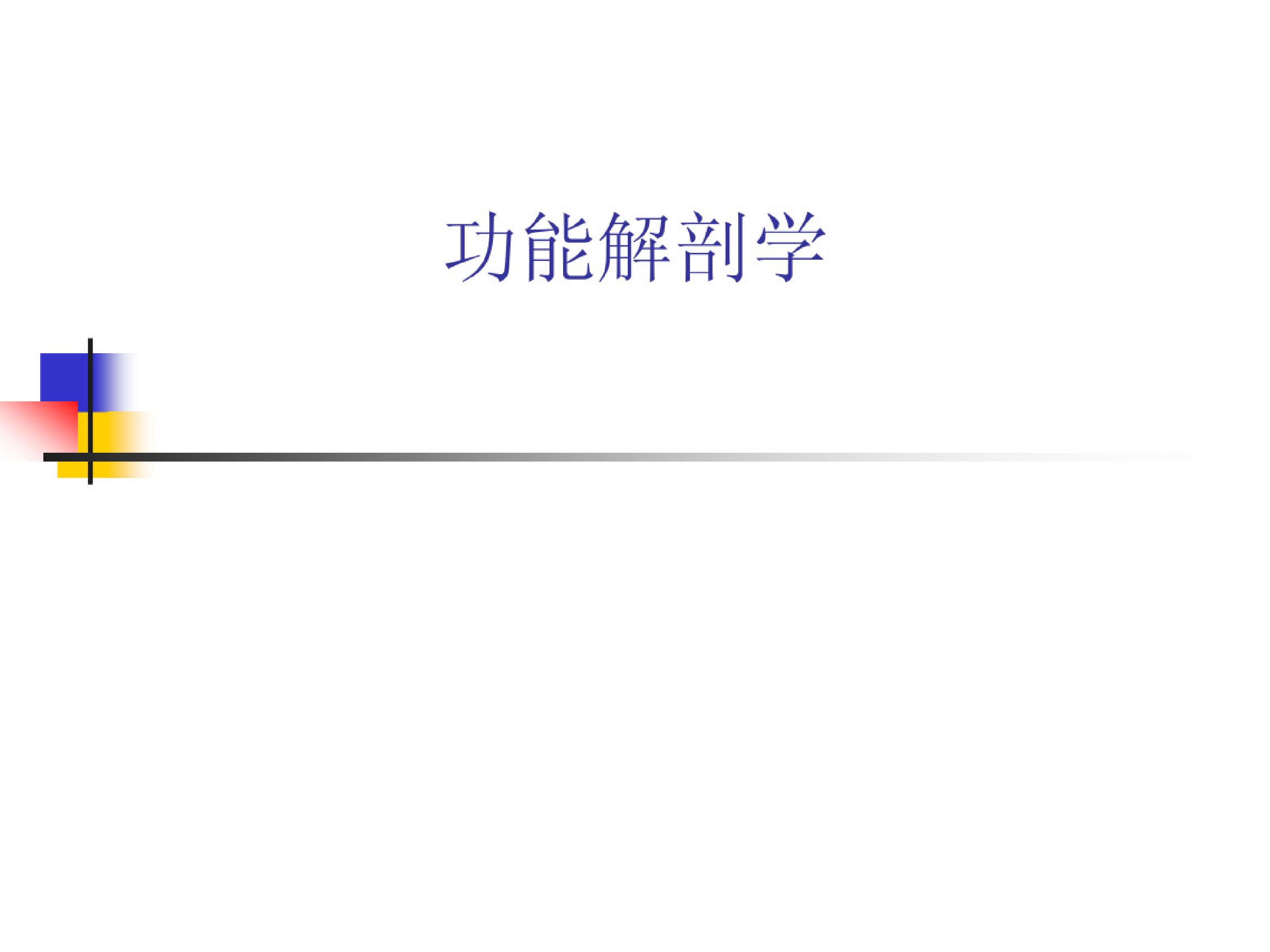 功能解剖学.pdf 第1页