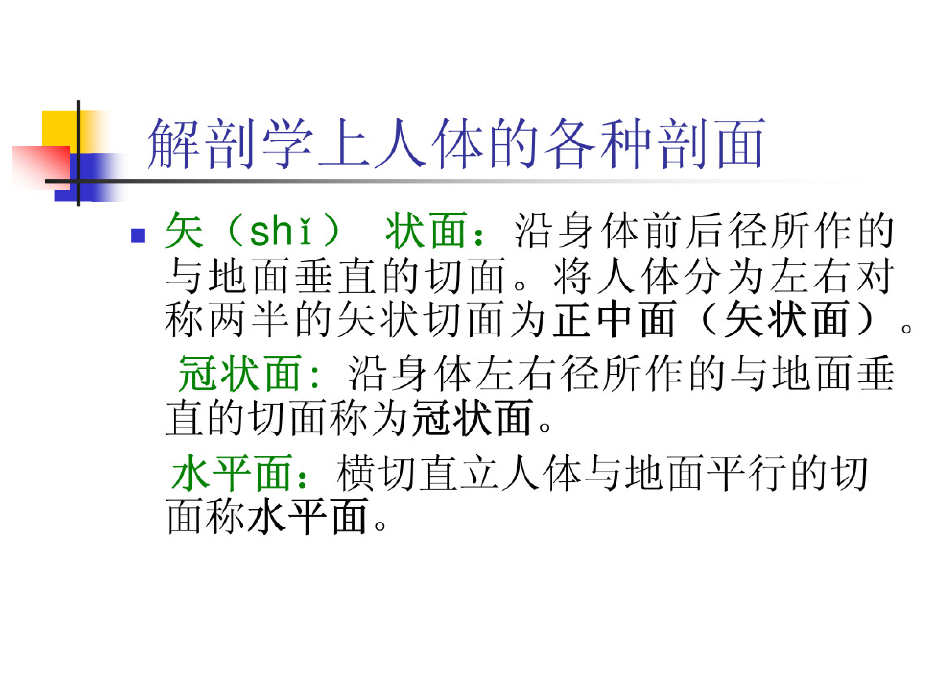 功能解剖学.pdf 第3页