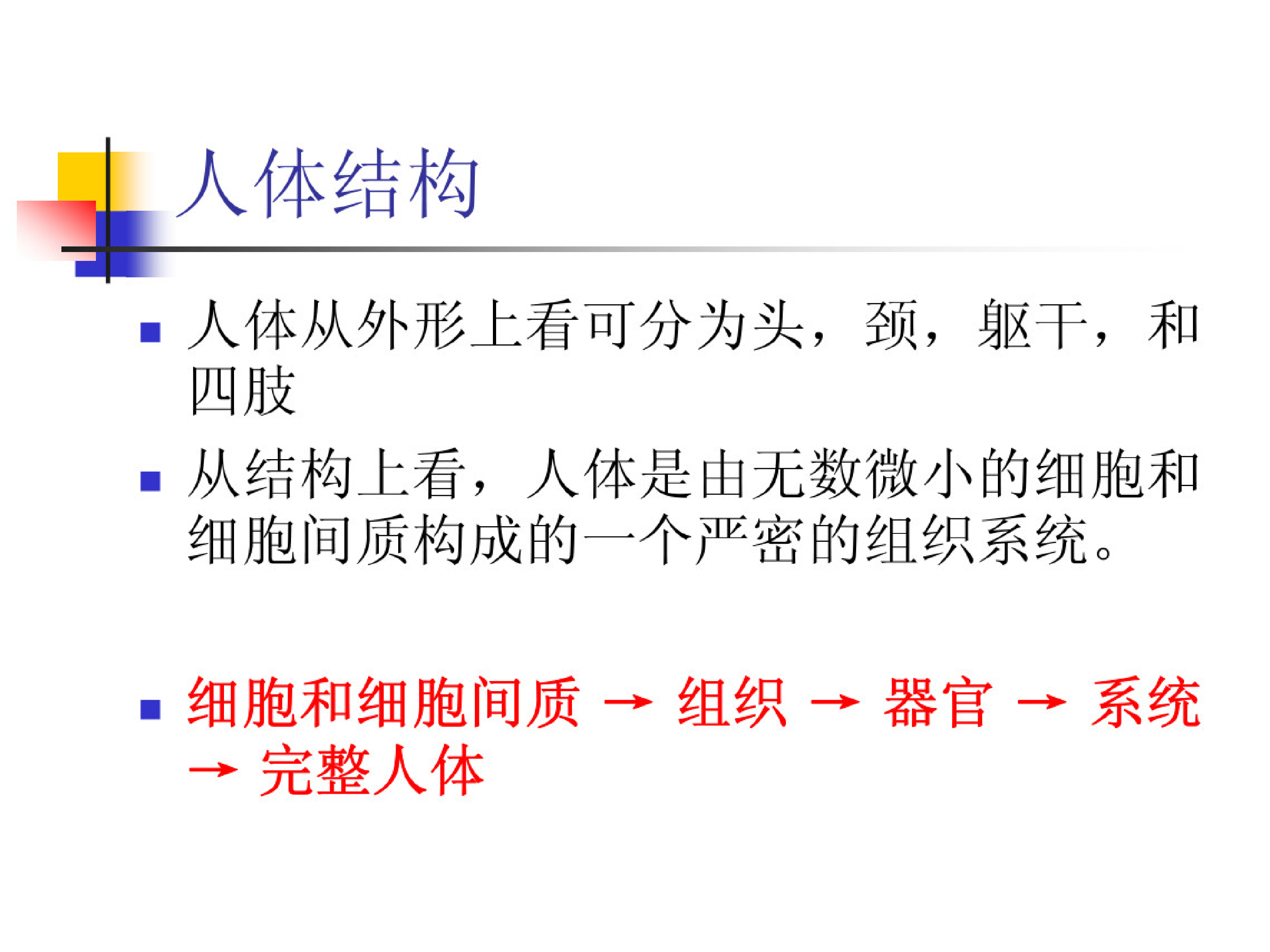 功能解剖学.pdf 第4页