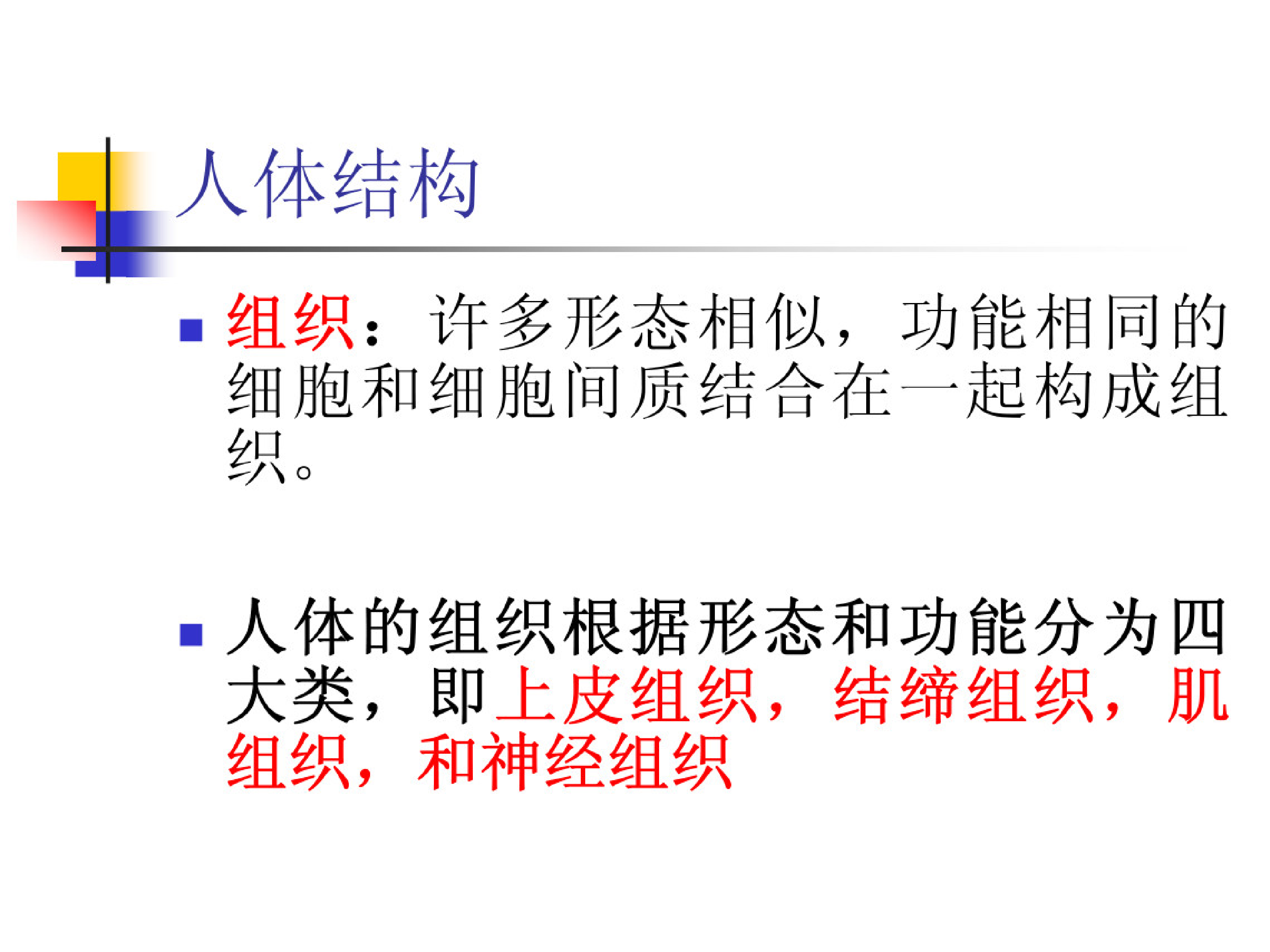 功能解剖学.pdf 第6页