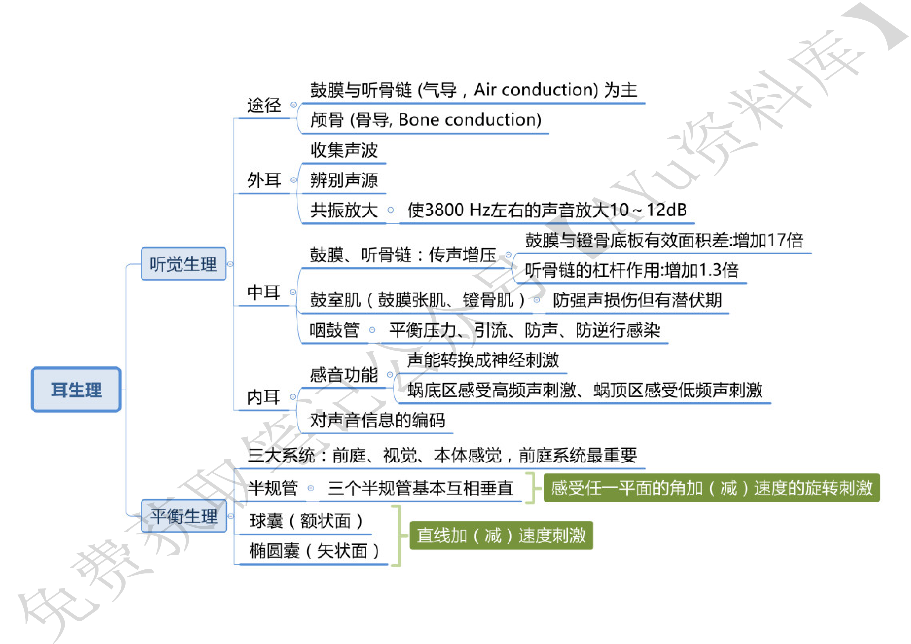 耳鼻喉.pdf 第2页