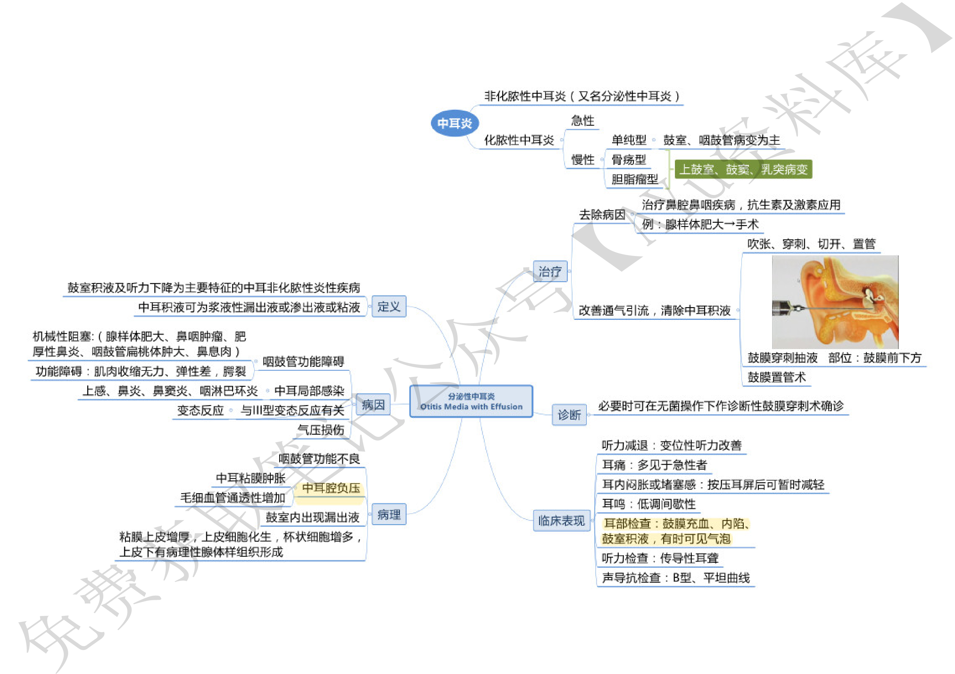 耳鼻喉.pdf 第3页