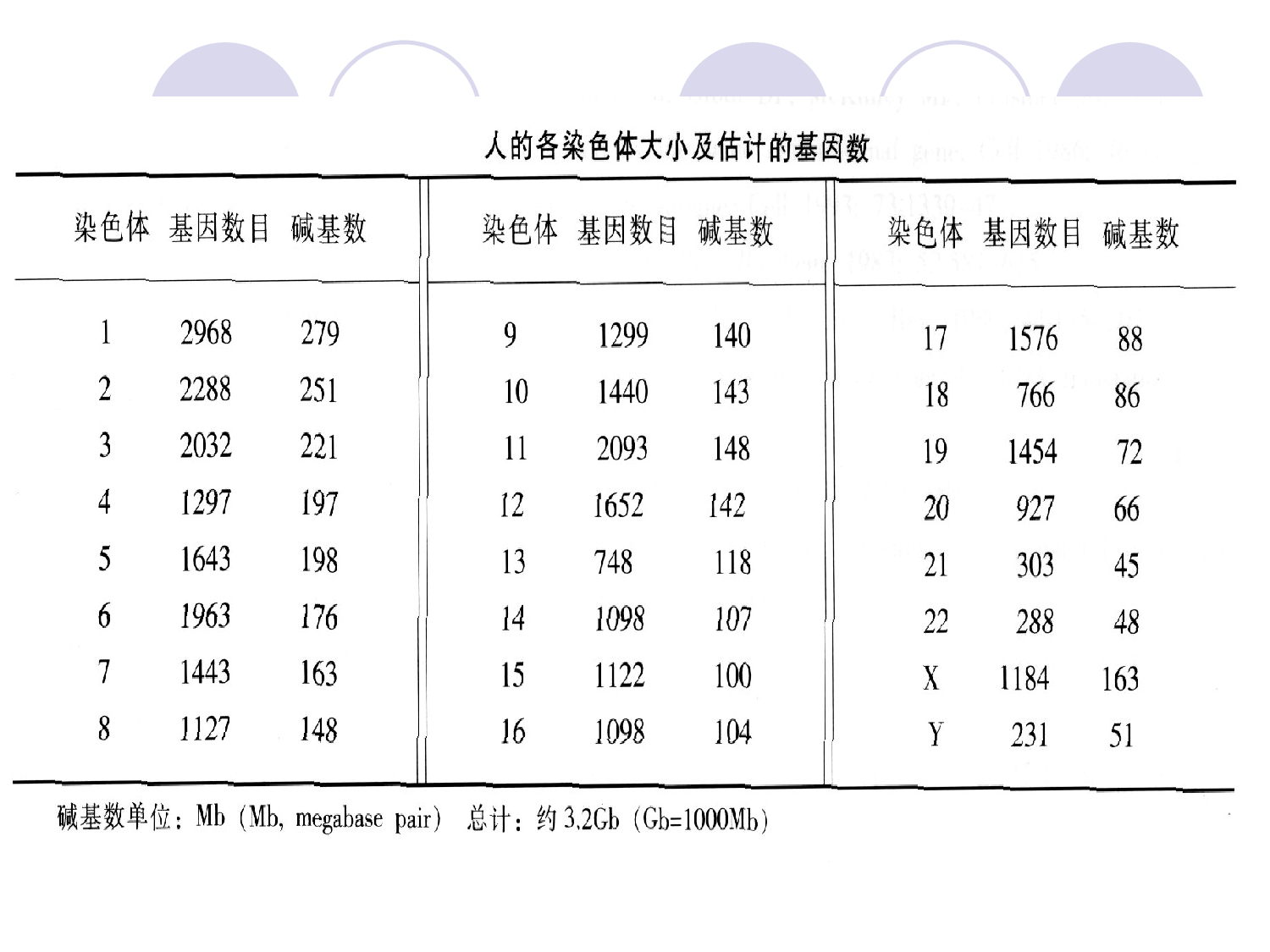 第十三章   染色体病.ppt 第6页