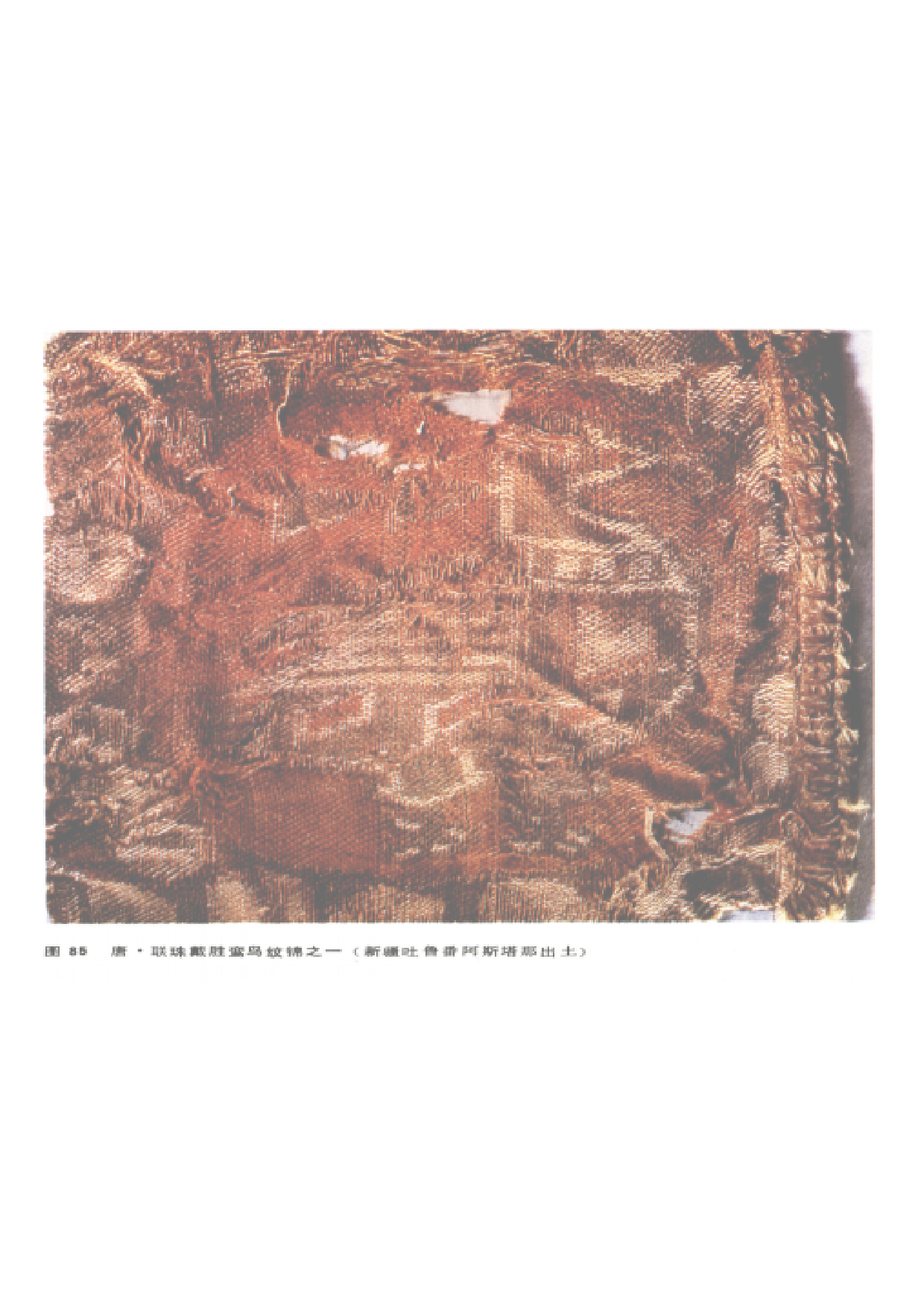唐 联珠戴胜鸾鸟纹锦 （新疆阿斯塔纳墓）.pdf 第1页