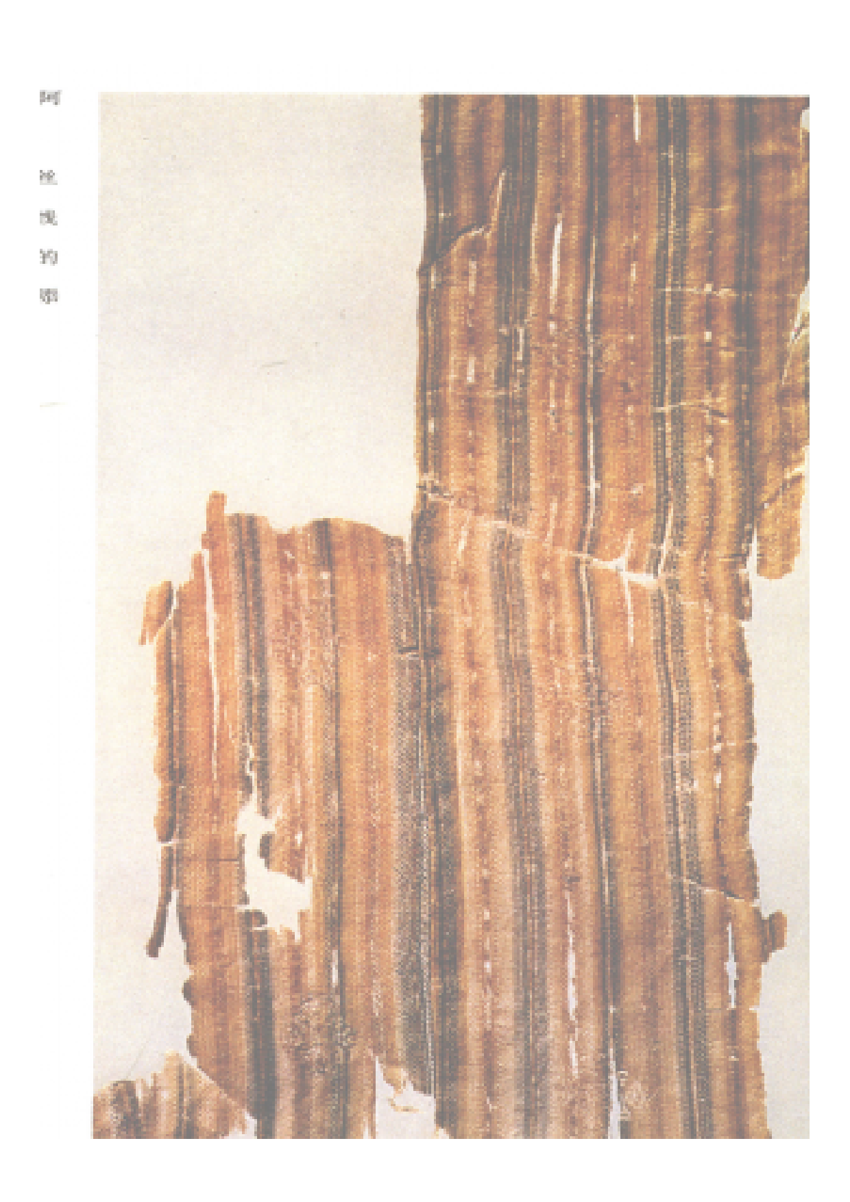 唐 晕裥提花锦（新疆阿斯塔纳）.pdf 第1页