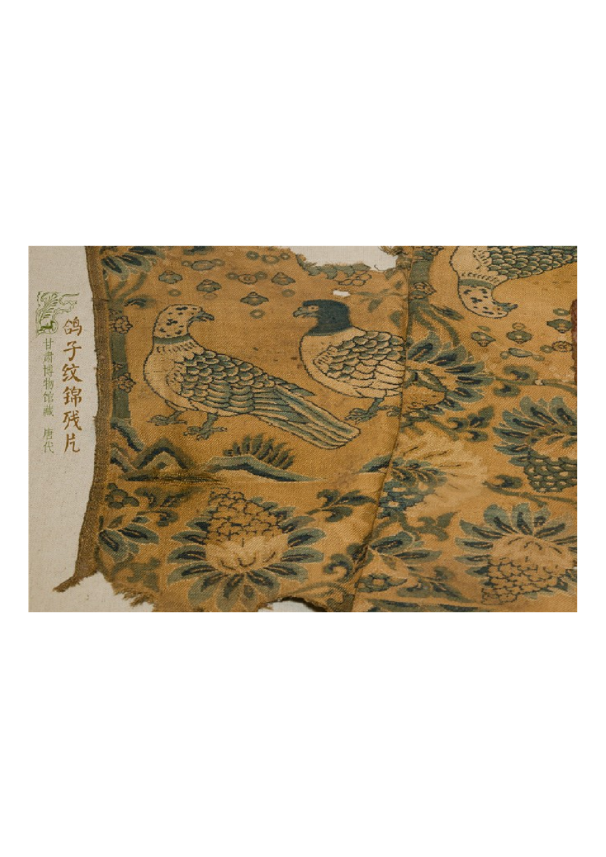 唐代 鸽子纹锦残片.pdf 第1页