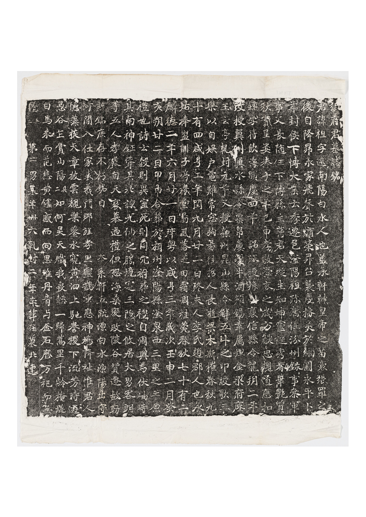 拓片246.唐张祖墓志铭.哈佛大学图书馆藏.pdf 第1页