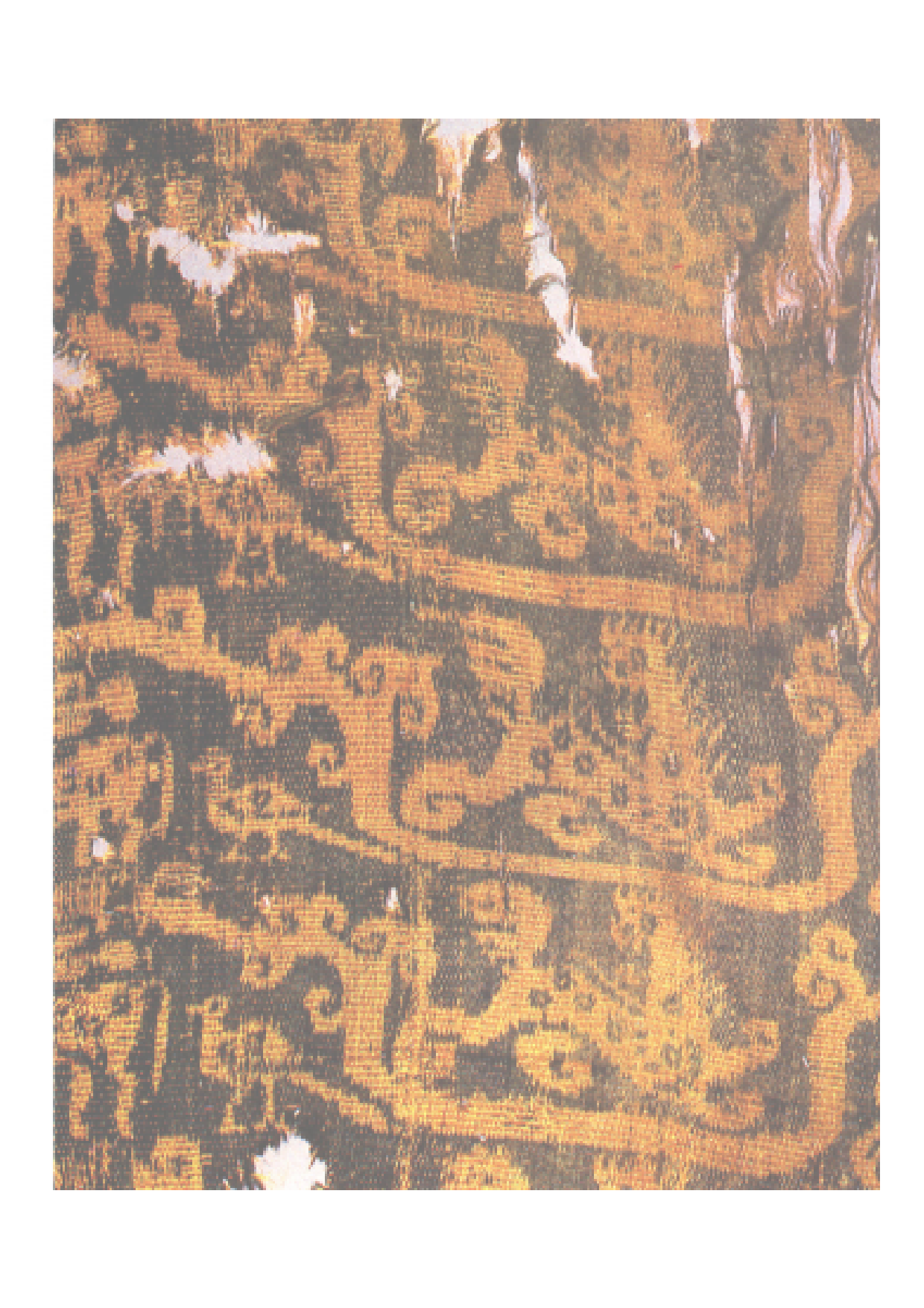 汉 鸟兽纹锦（新疆罗布泊高台古墓）.pdf 第1页