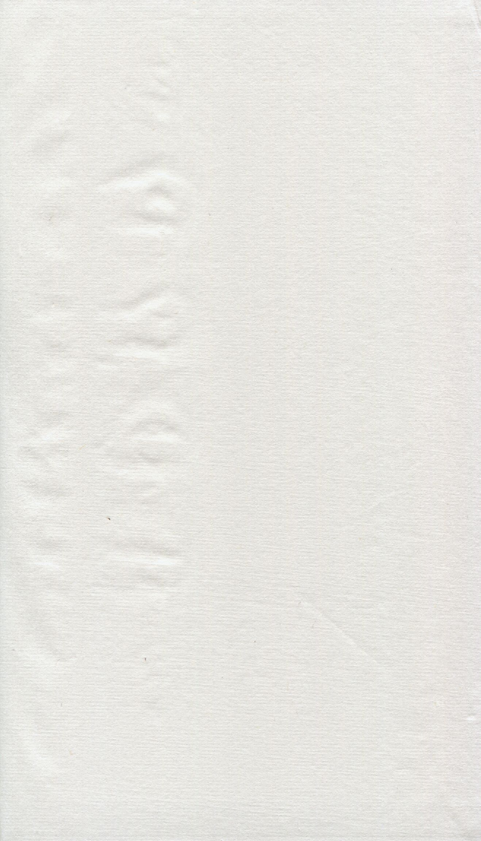 陰陽大論 龜書.pdf 第4页