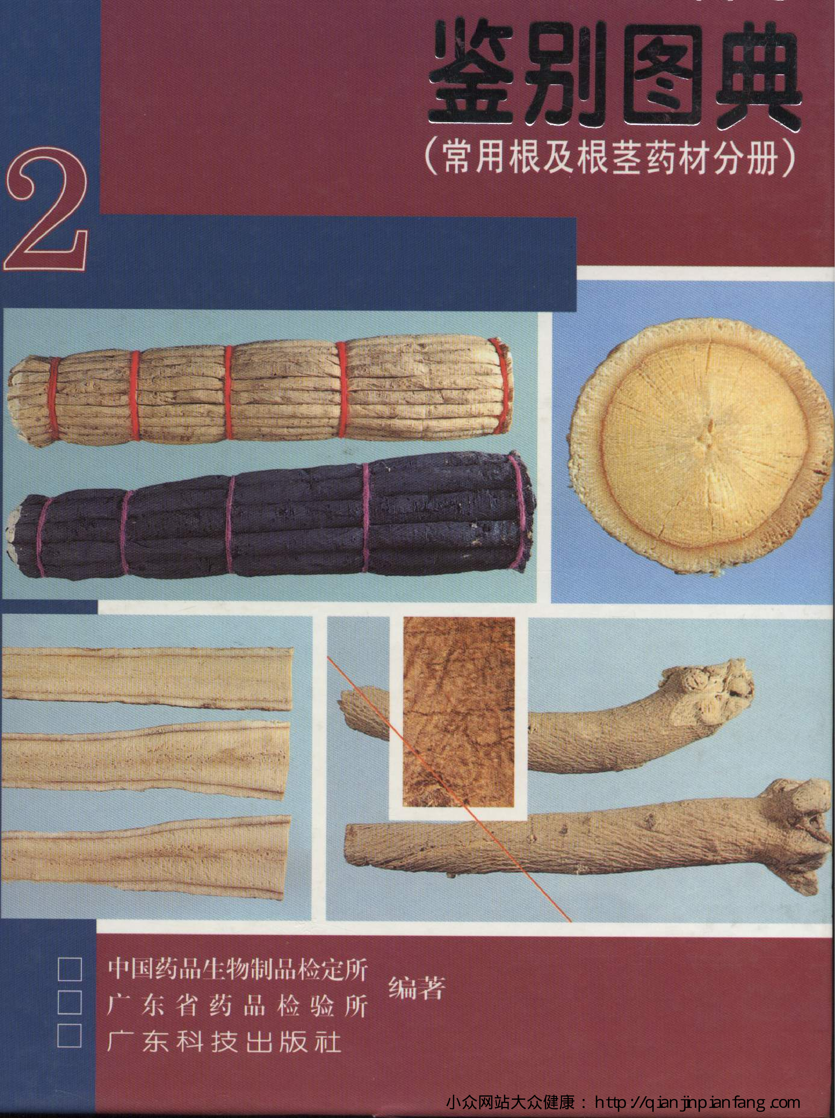 中国中药材真伪鉴别图典（第二分册）.pdf 第1页