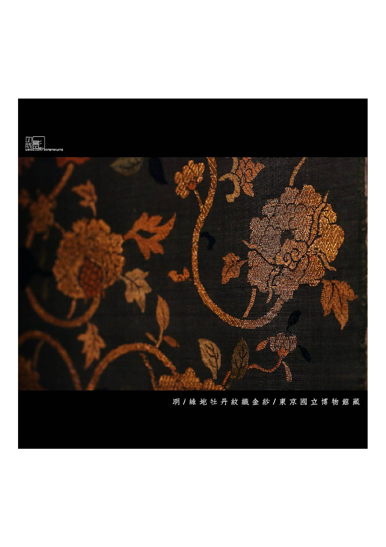 img-63f4032a7ef1f05041791b7fe95585dc.pdf 第1页