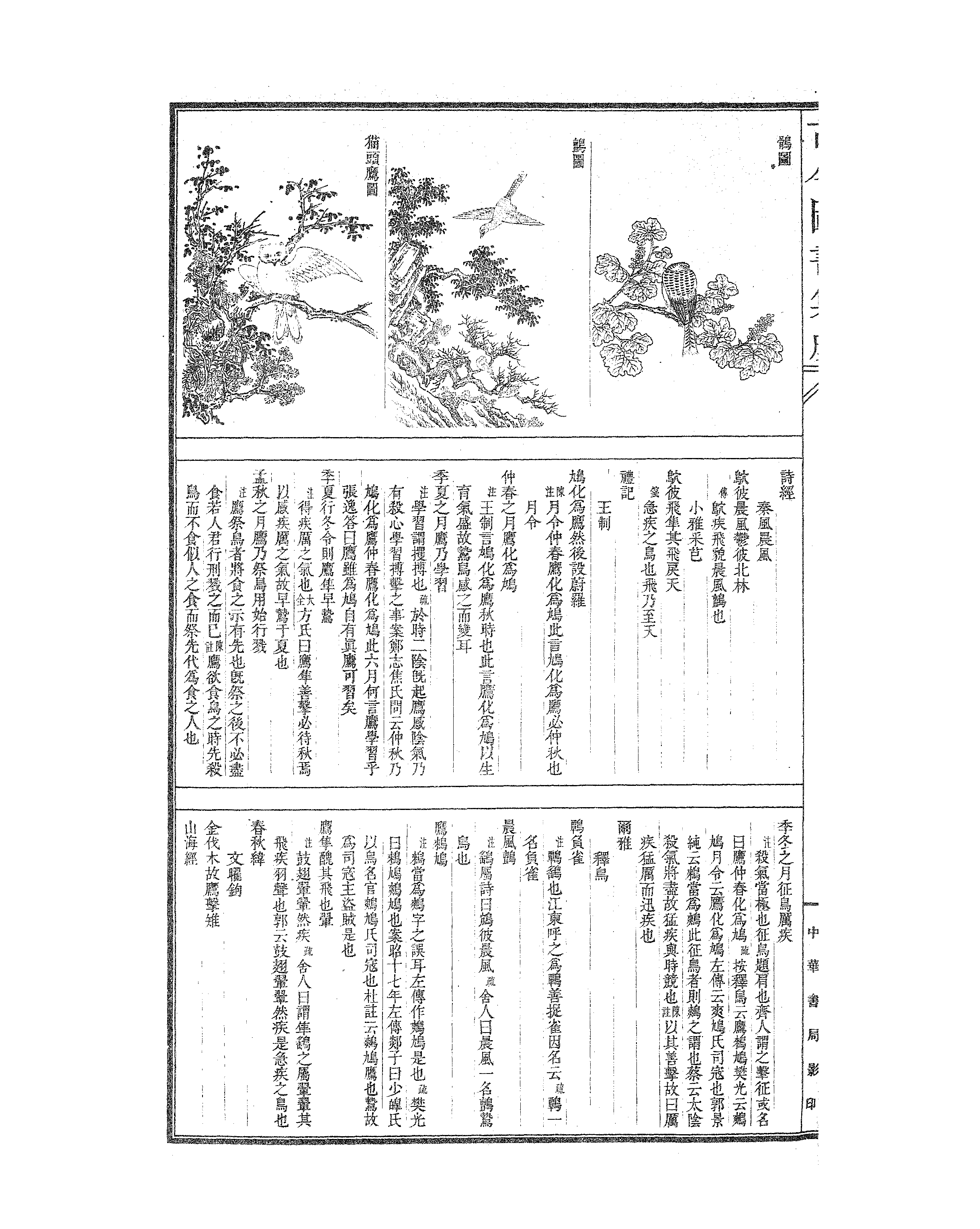 516 古今图书集成·博物汇编·禽虫典.pdf 第3页