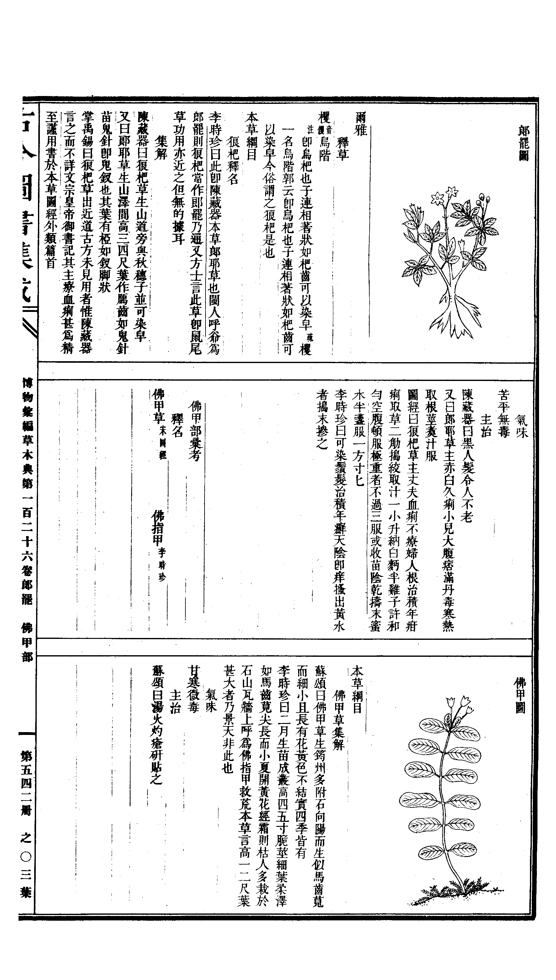 542 古今图书集成·博物汇编·草木典·卷一百二.pdf 第6页