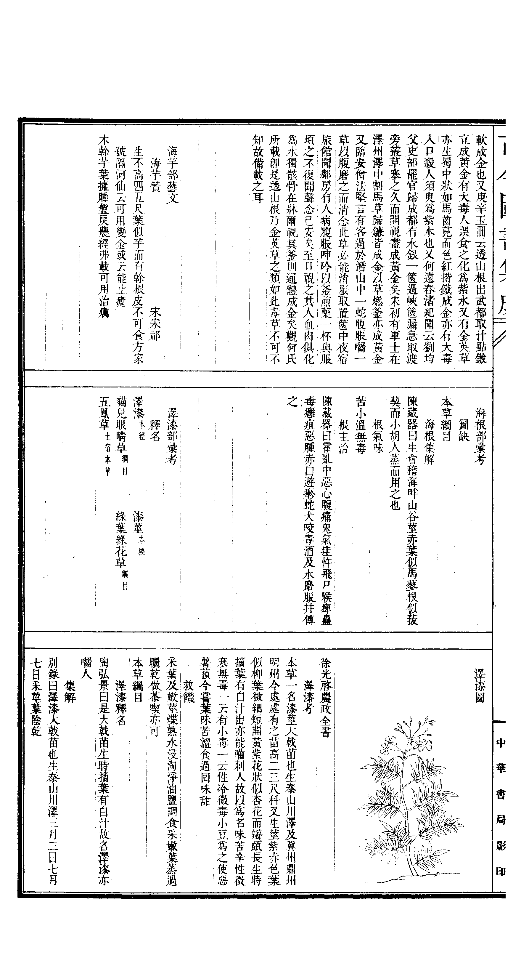 543.古今图书集成·博物汇编·草木典·卷一百四.pdf 第3页