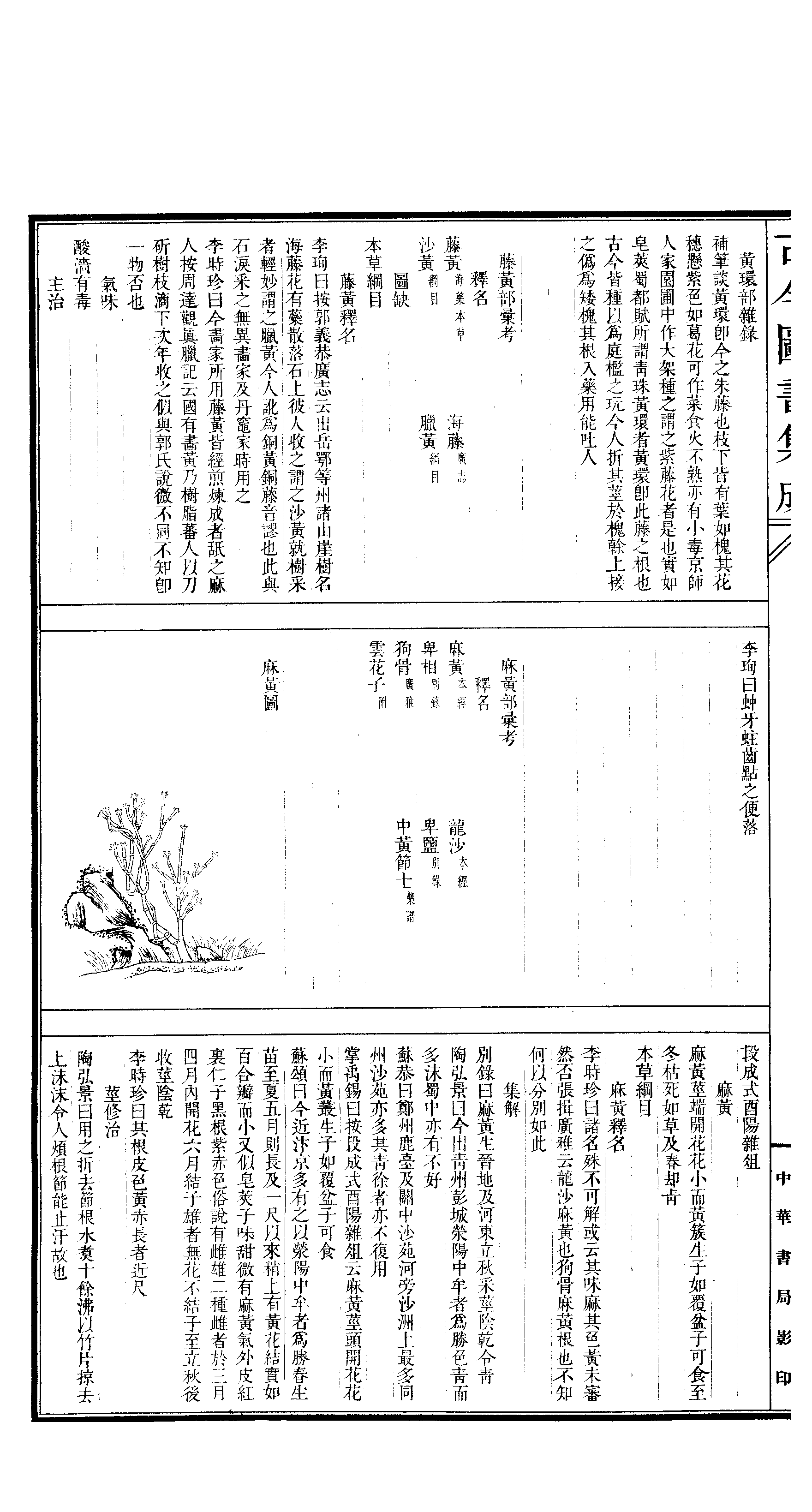 544.古今图书集成·博物汇编·草木典·.pdf 第3页